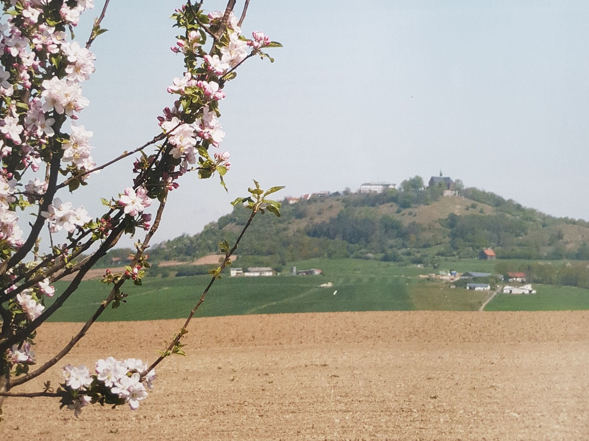 Amöneburg in Amöneburg-Binnen