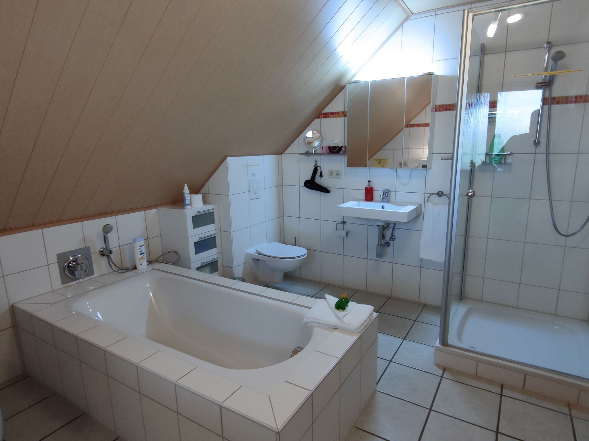 Luxus-Ferienwohnung für Ruhesuchende in der Natur-Inside