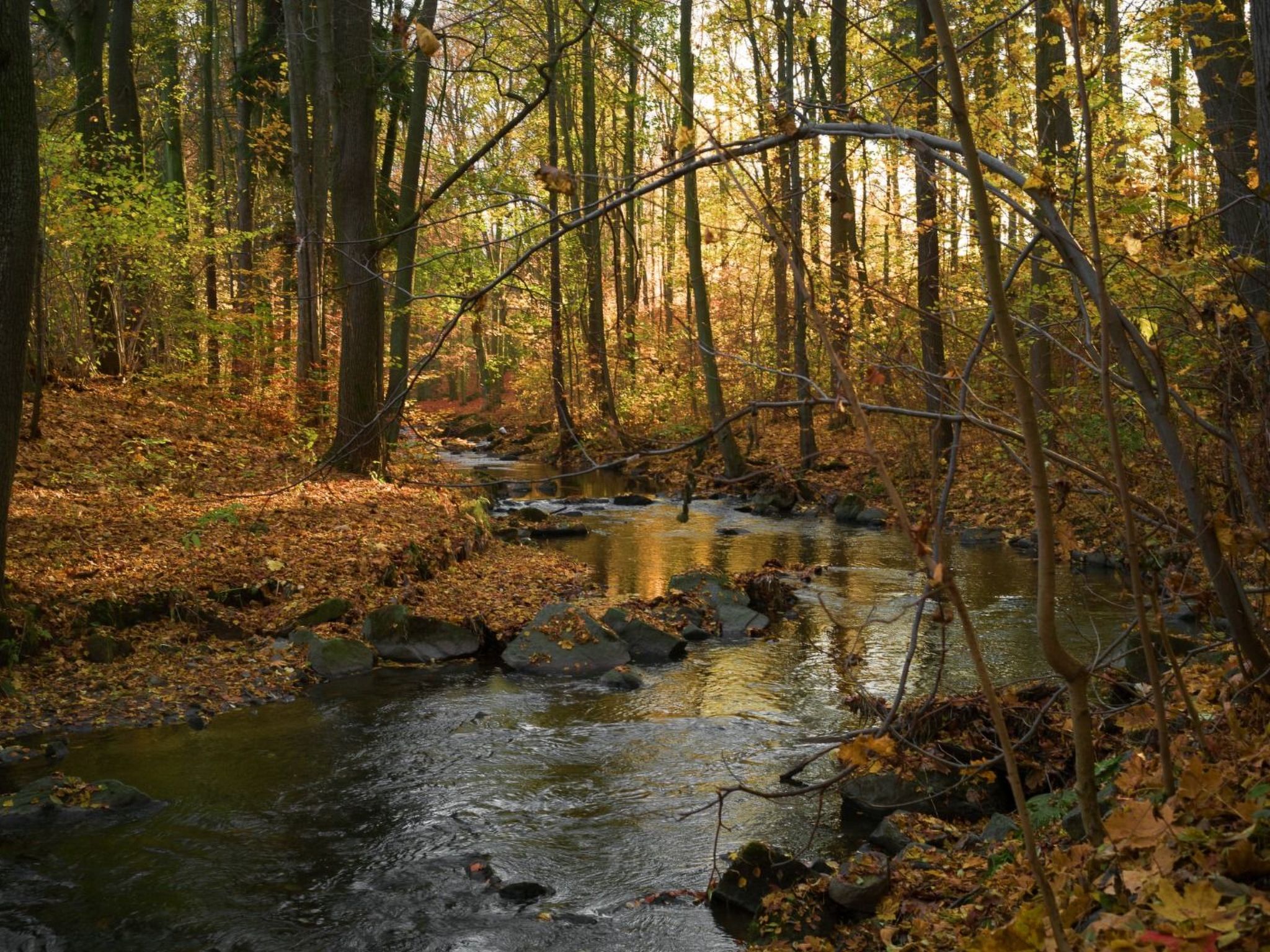 Jägerhaus-Image-tags.info