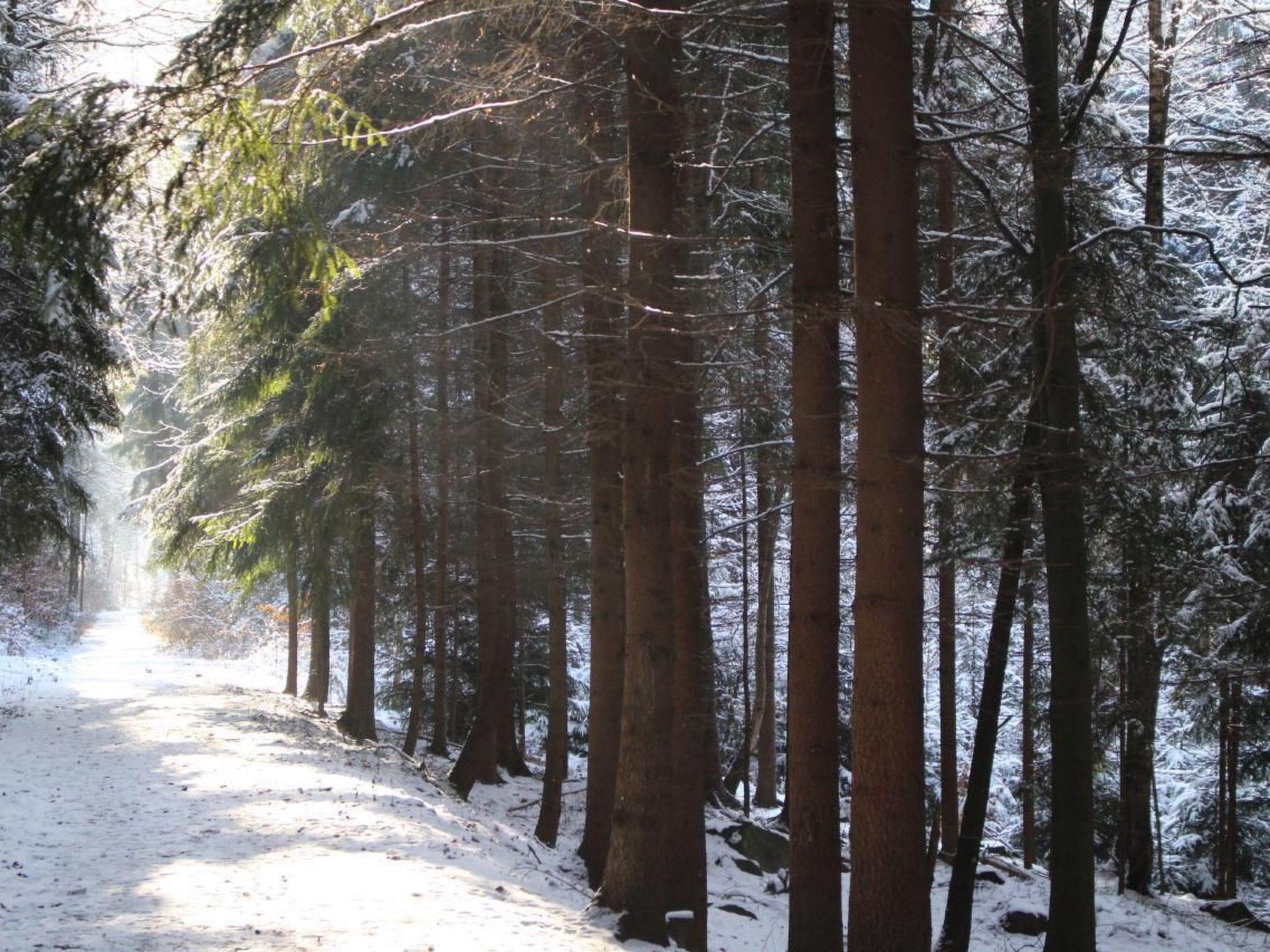 Jägerhaus-Image-tags.info