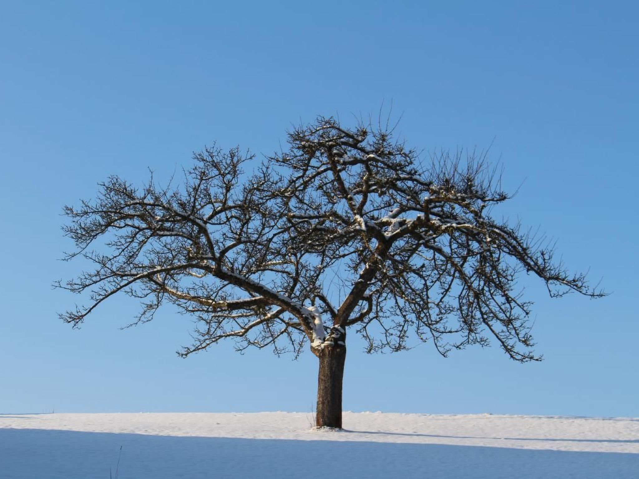 Jägerhaus-Image-tags.info