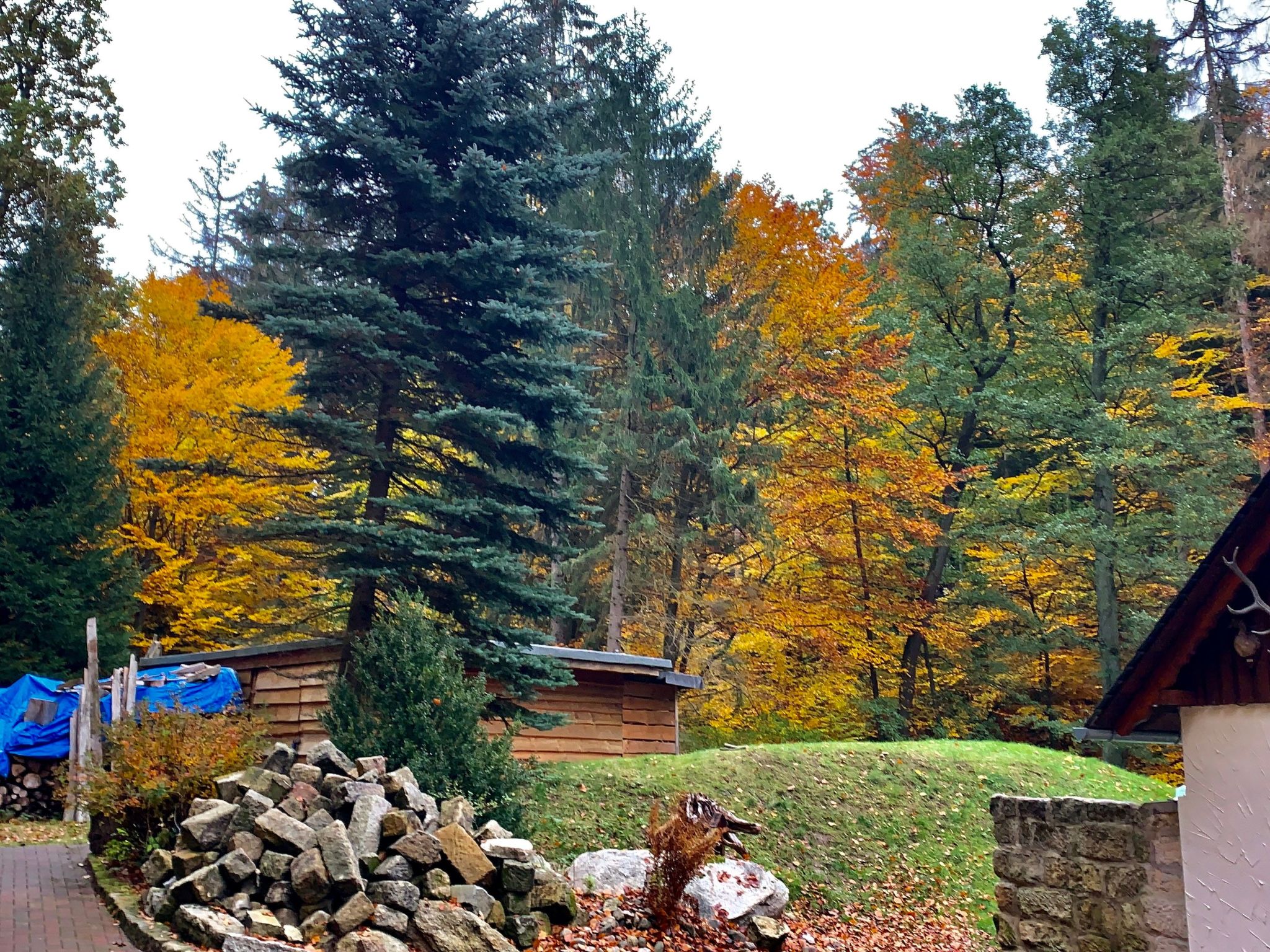 Jägerhaus-Image-tags.info