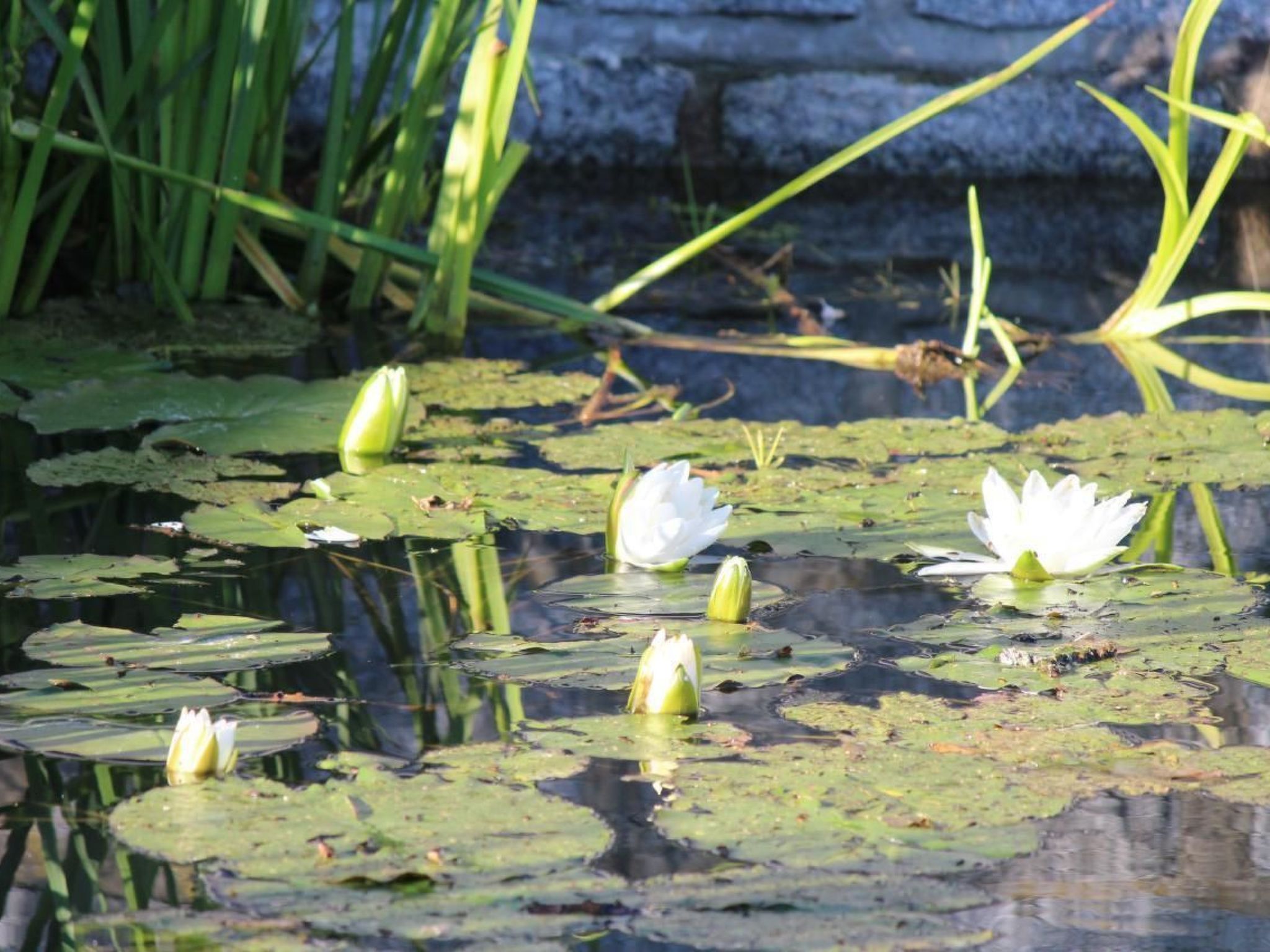 Jägerhaus-Image-tags.info