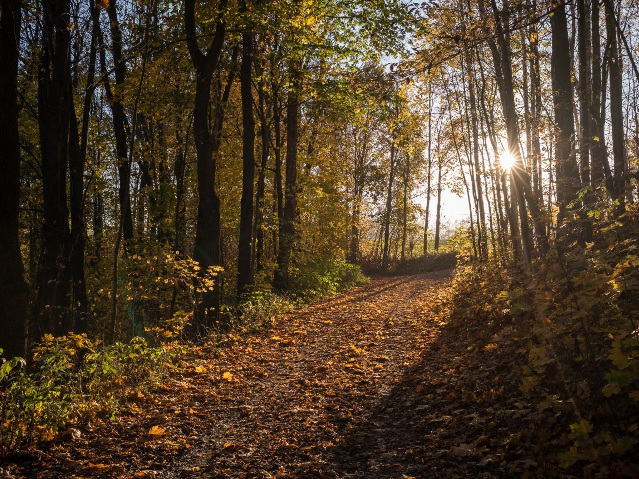 Jägerhaus-Image-tags.info