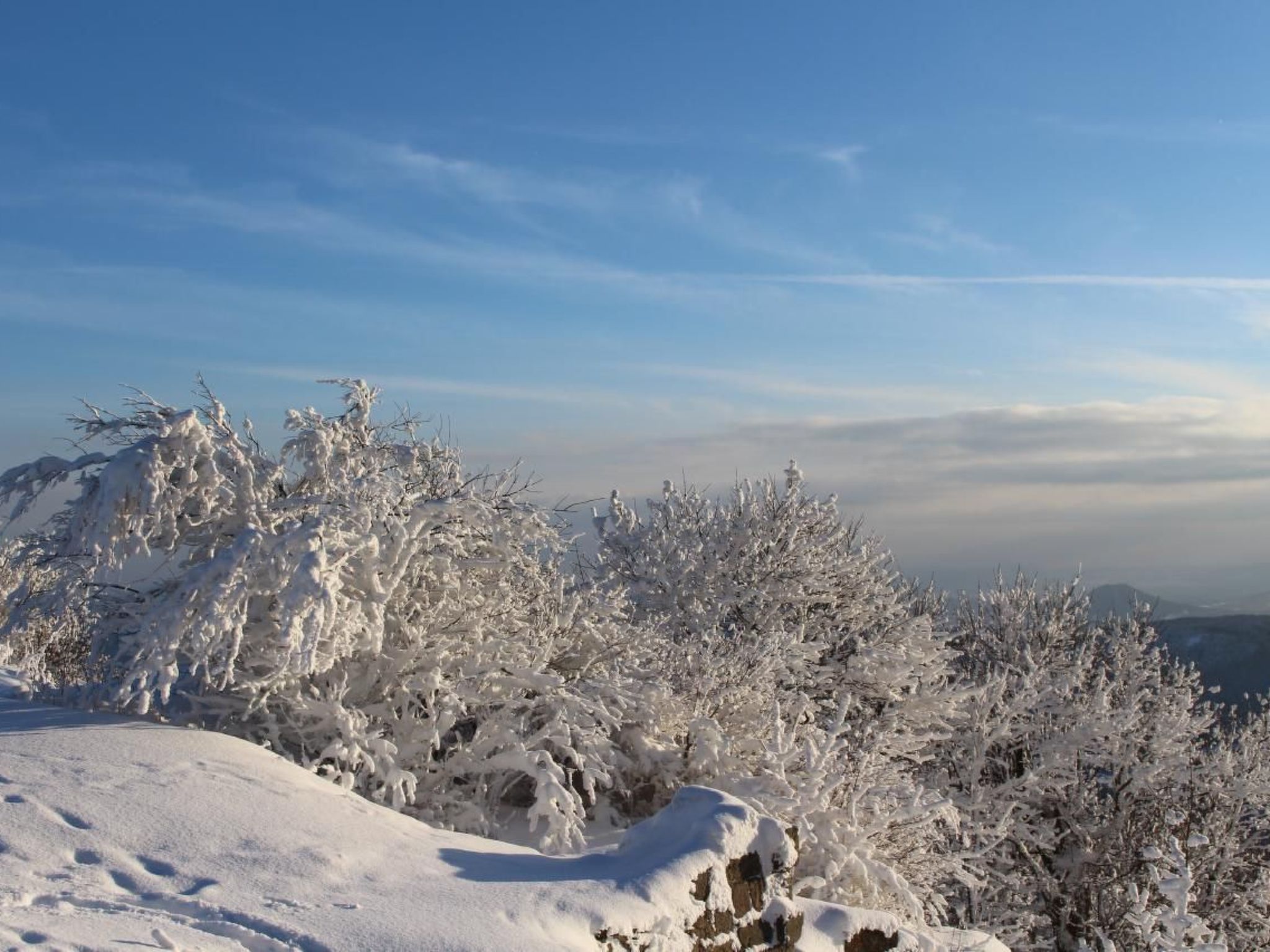 Jägerhaus-Image-tags.info