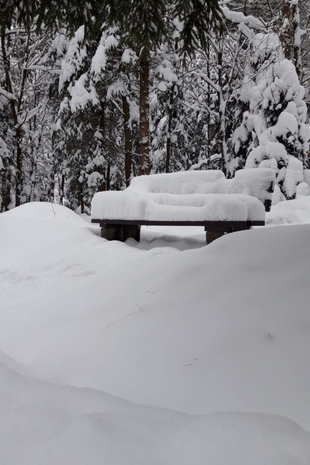 Jägerhaus-Image-tags.info