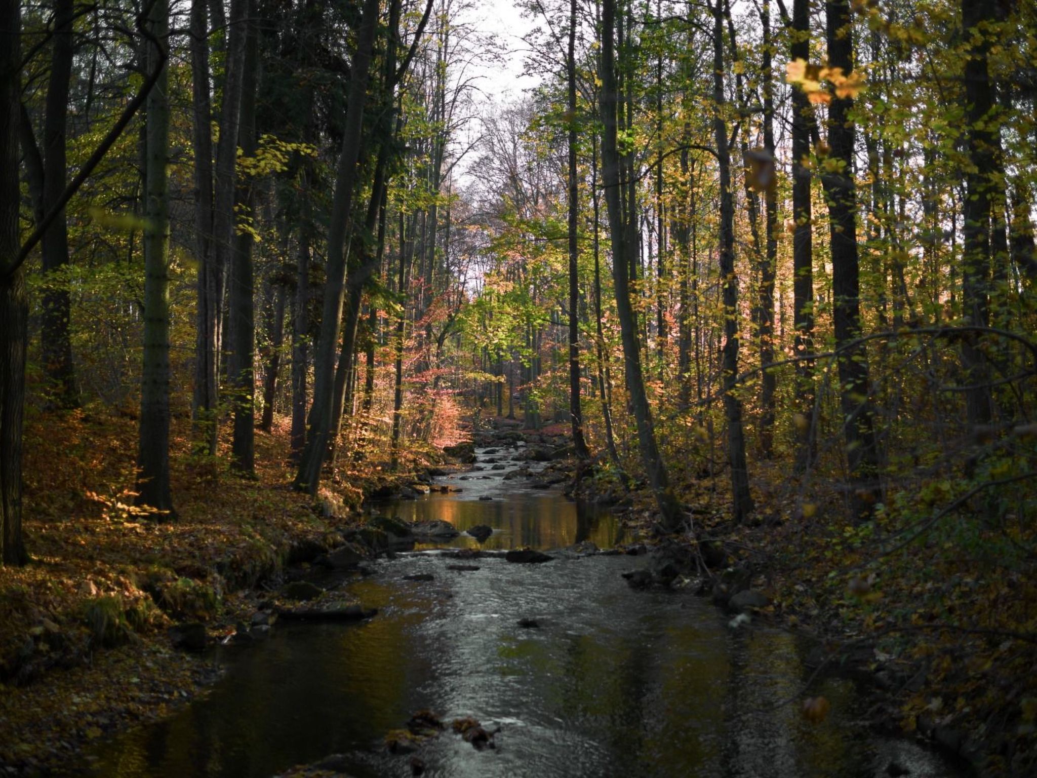 Jägerhaus-Image-tags.info