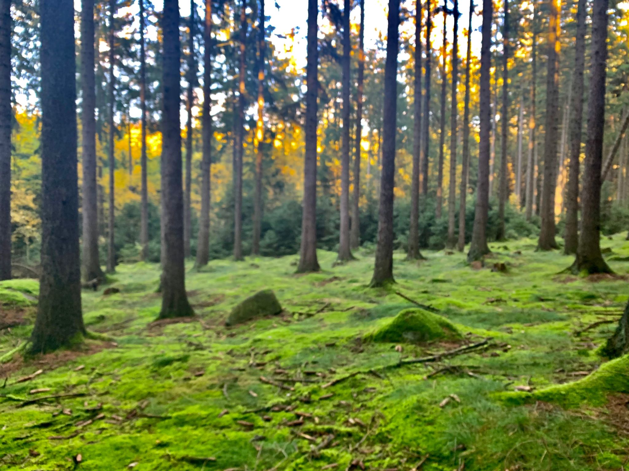 Jägerhaus-Image-tags.info