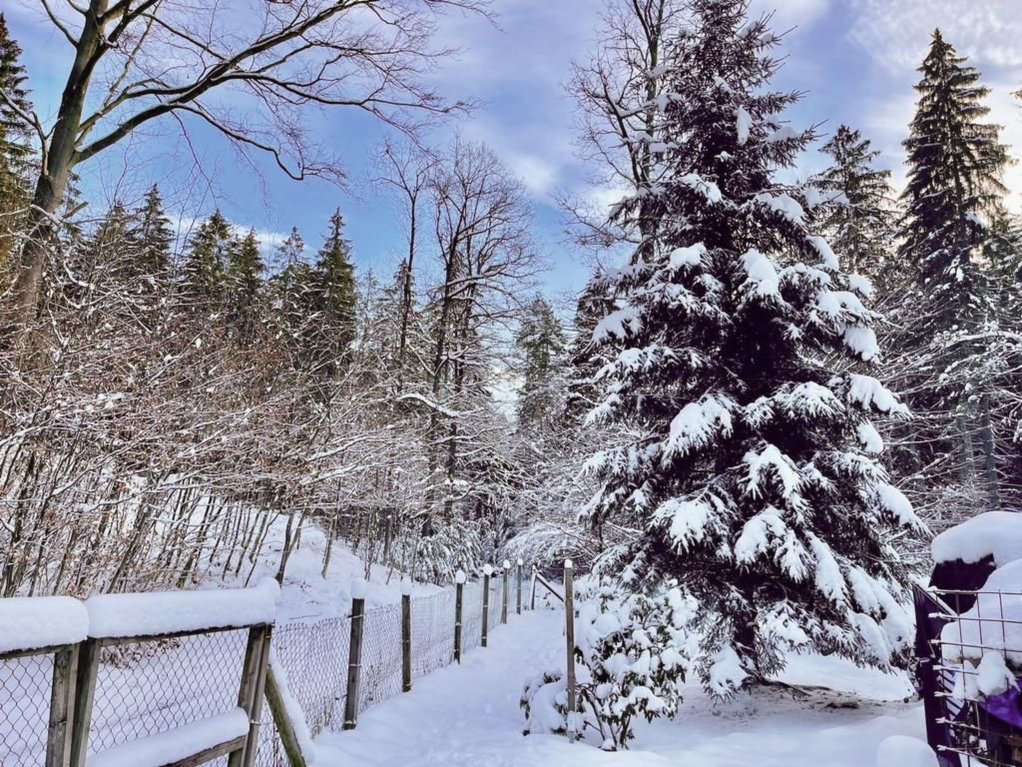 Jägerhaus-Image-tags.info