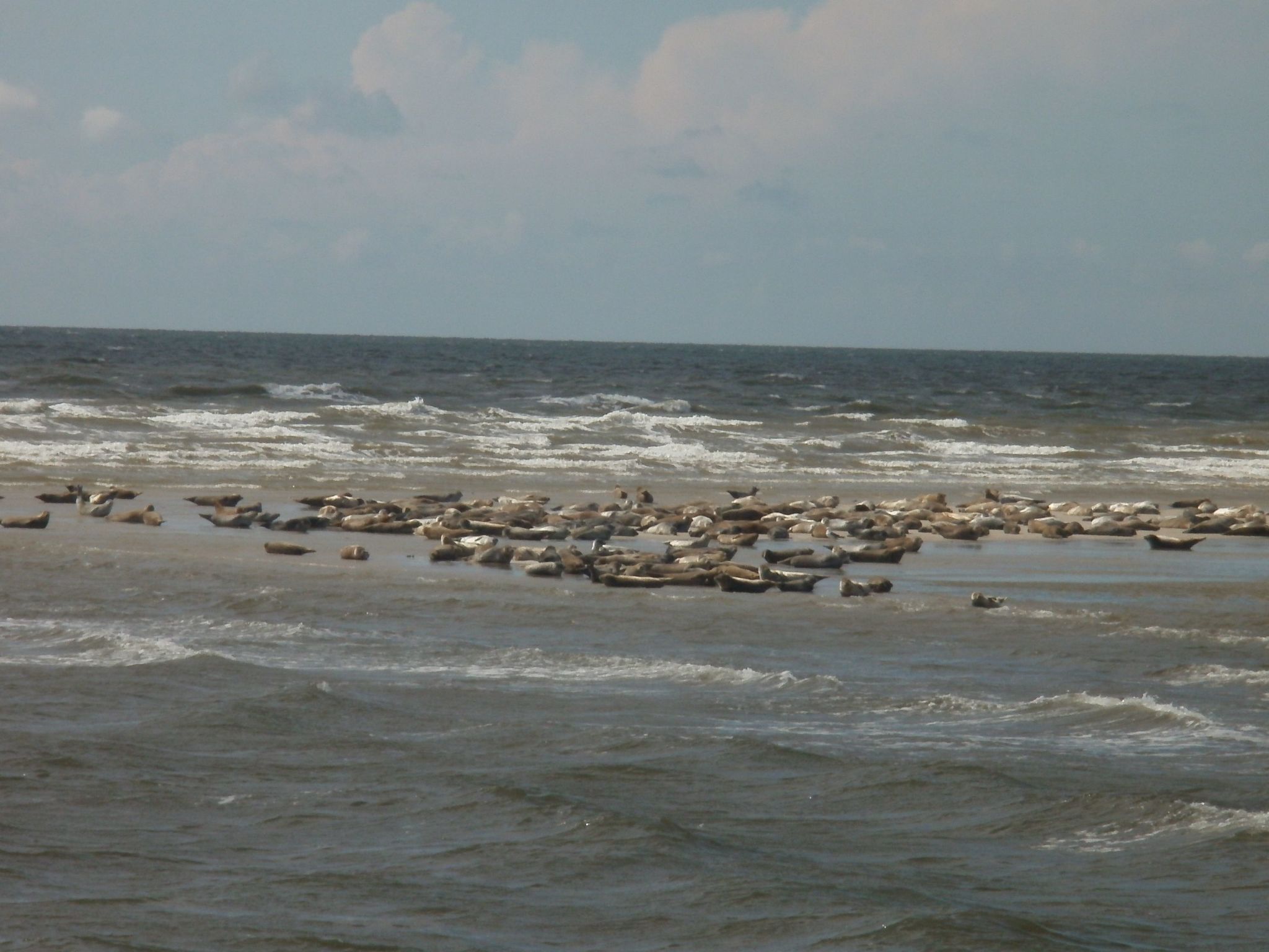 Nice Holidays-Binnen