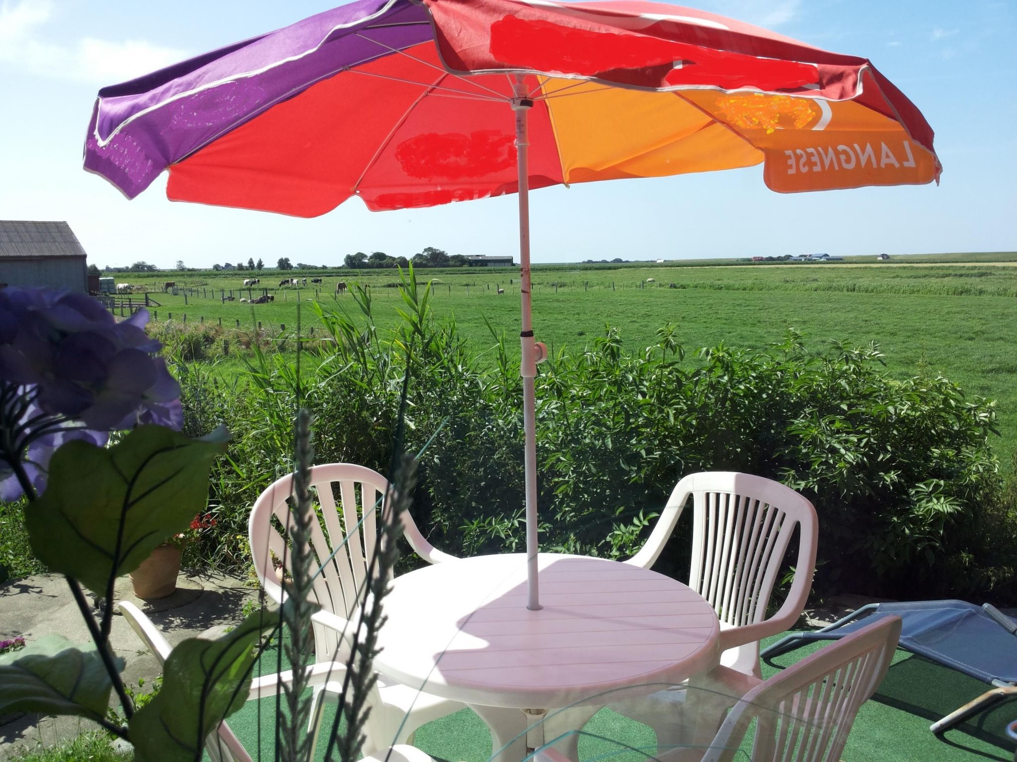 Nice Holidays-Binnen