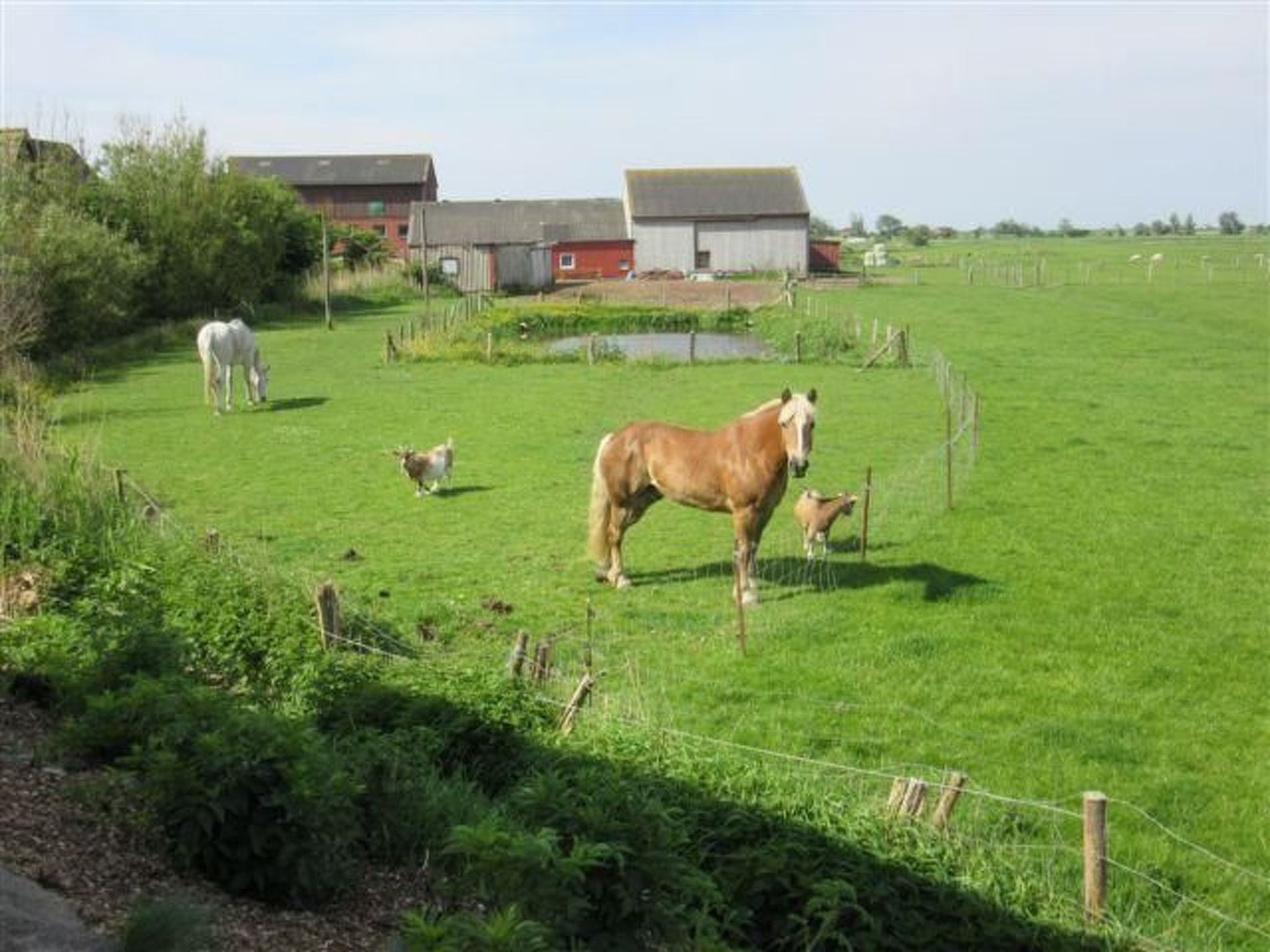 Nice Holidays-Binnen