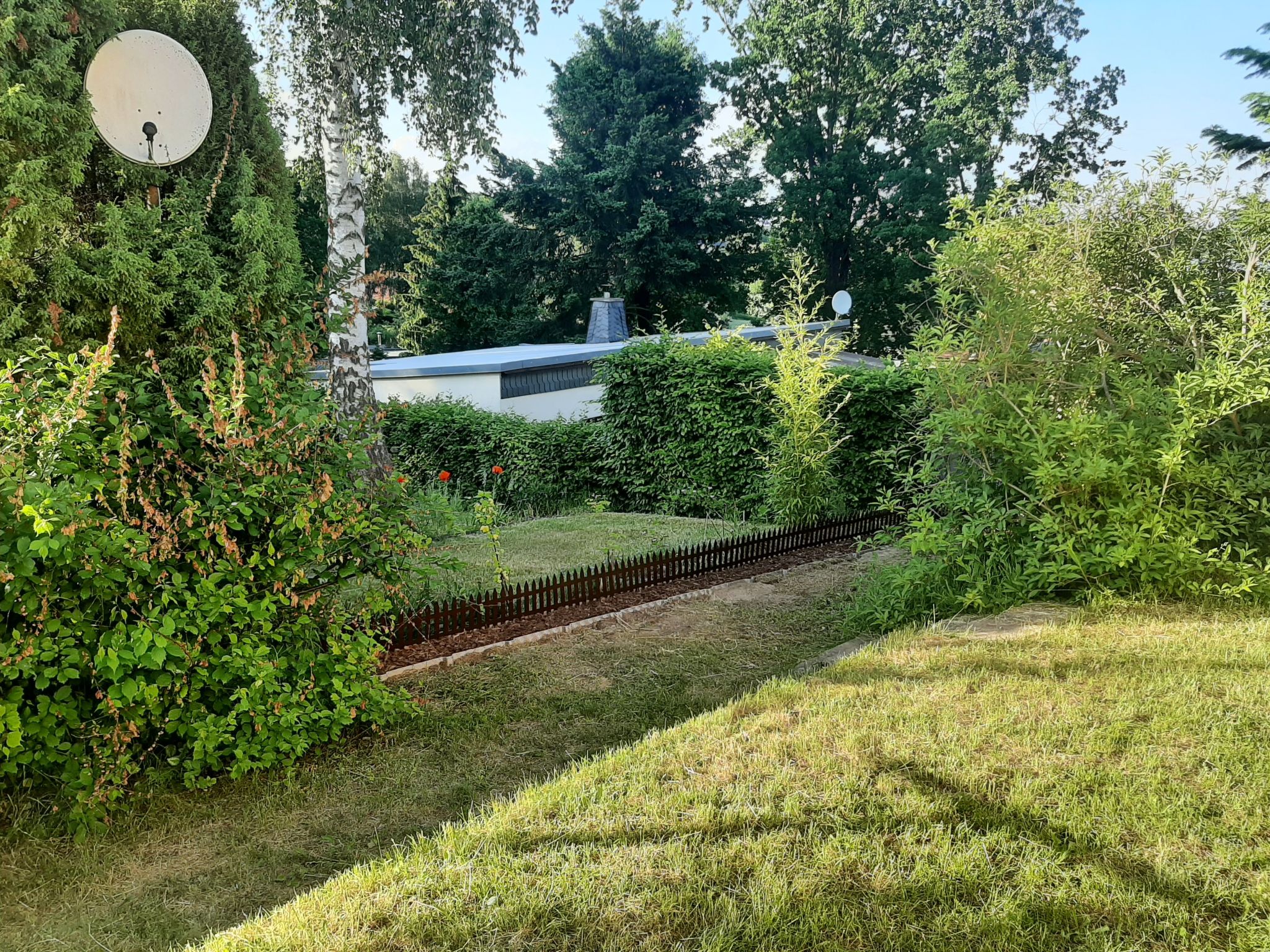 Schwarz-Image-tags.info