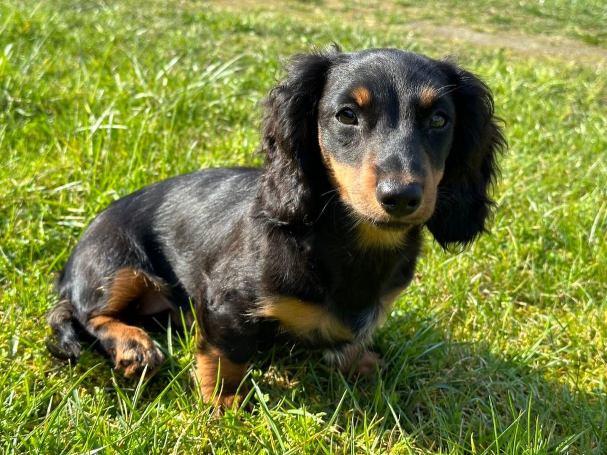 Familie Wiegert-Binnen
