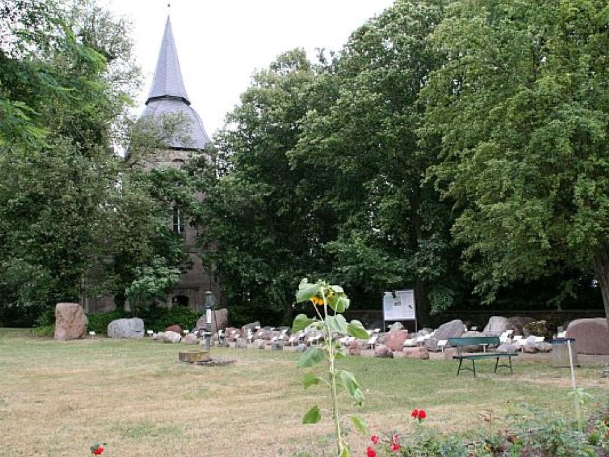 Anna-Image-tags.info