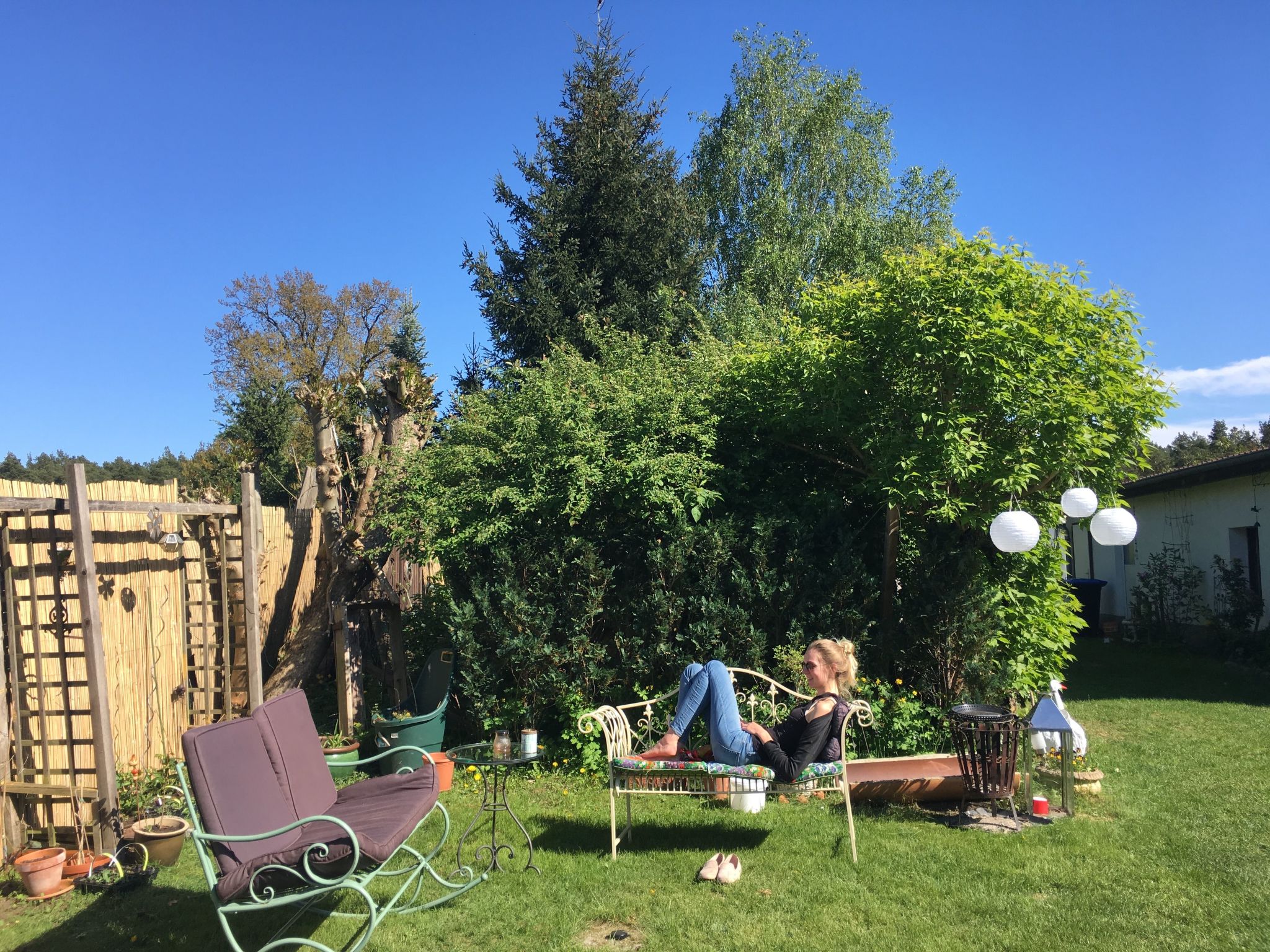 Spitzwegerich-Binnen