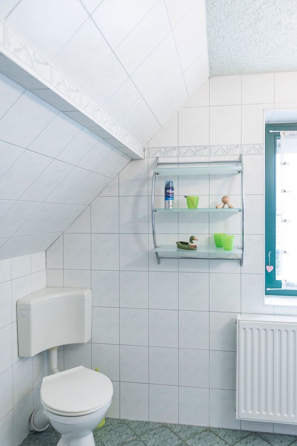 Löwenzahn mit Holu-Binnen