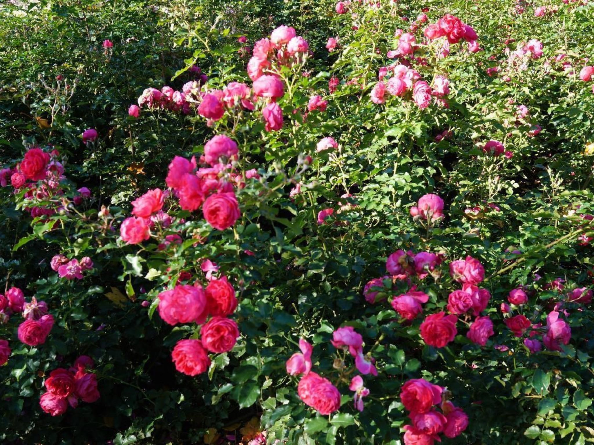 Fh "Molkenberg"-Binnen