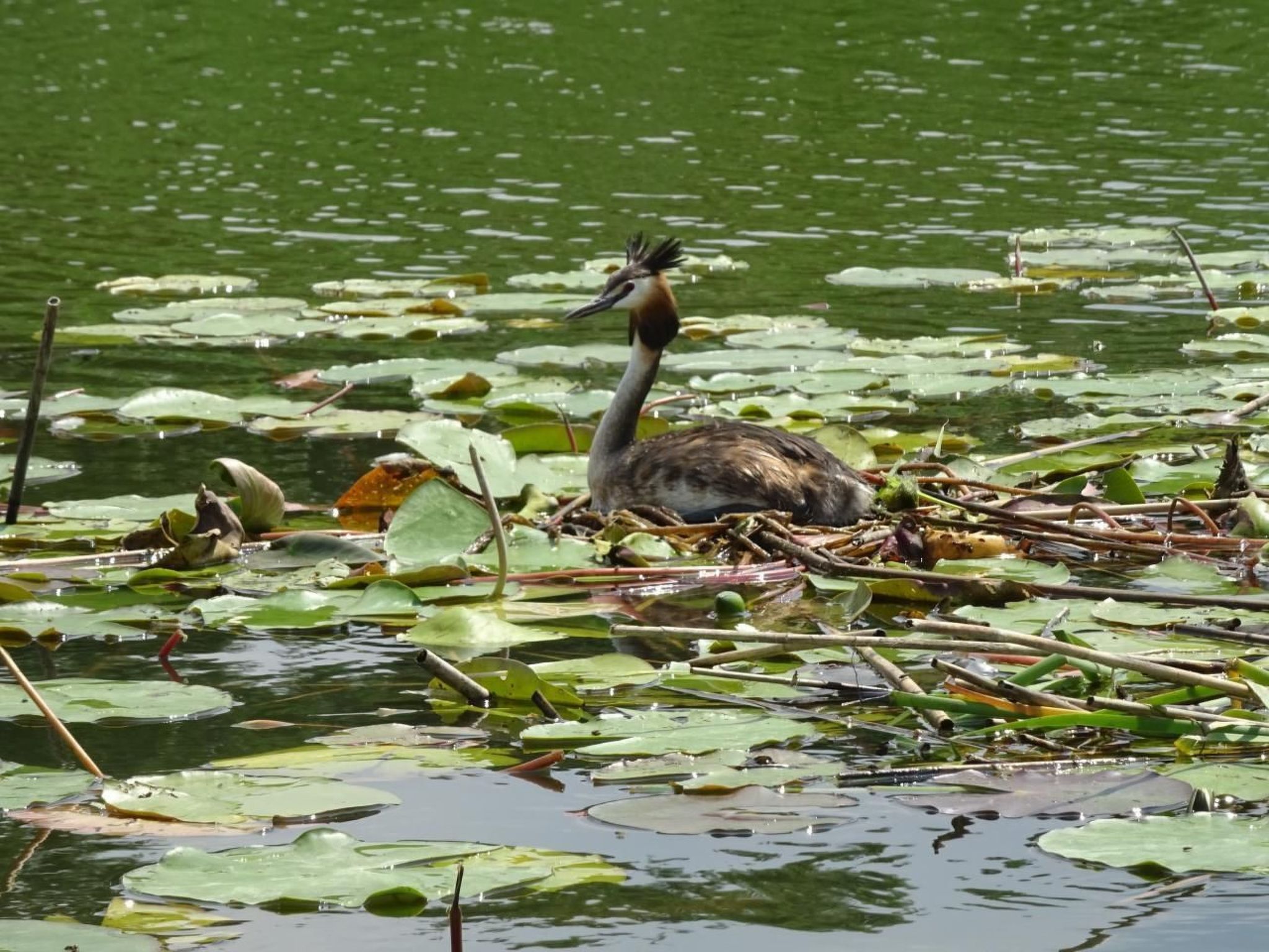 Fh "Molkenberg"-Binnen