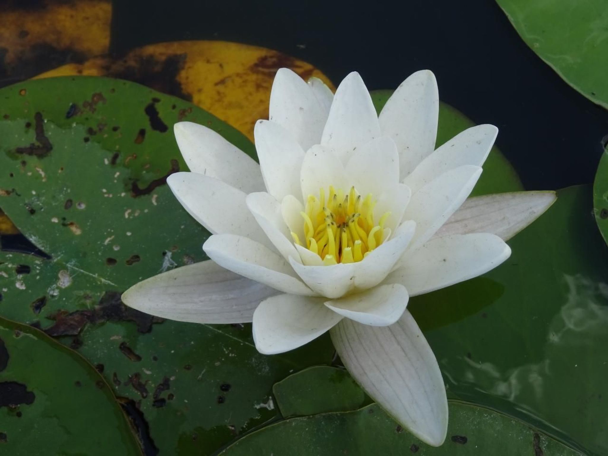 Fh "Molkenberg"-Binnen