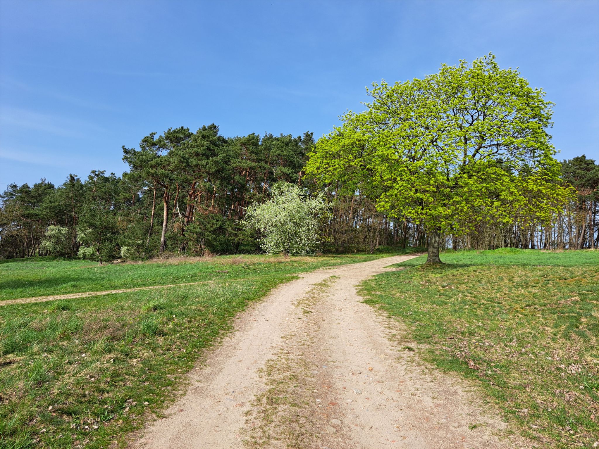 Fh "Molkenberg"-Binnen