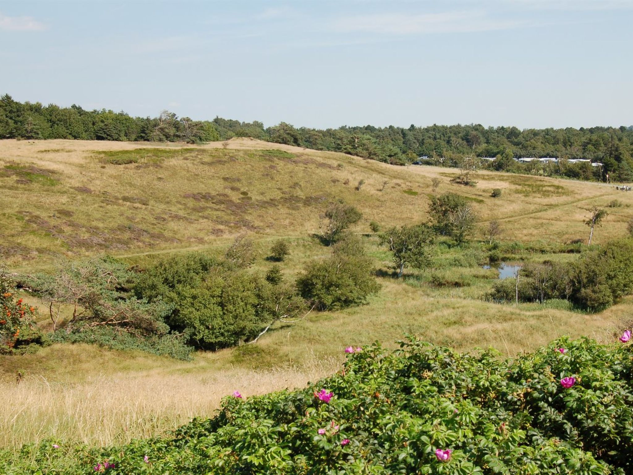 "Jonce" - 250m from the sea-Outside