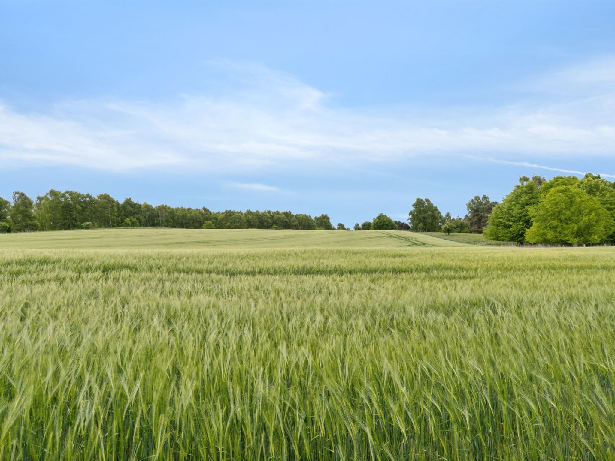 "Vojo" - 1.4km from the sea-Buiten