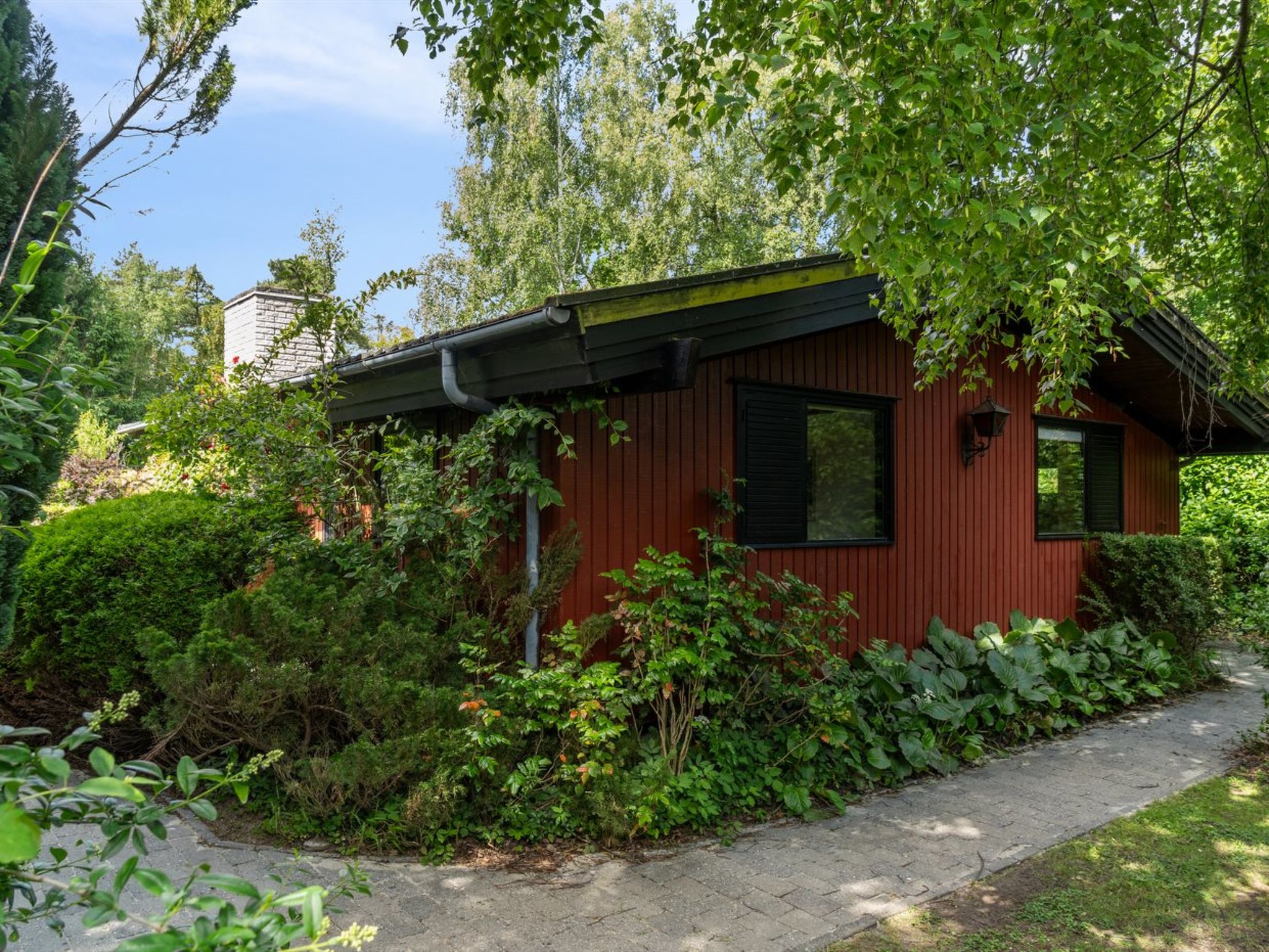 "Eden" - 500m from the sea-Outside