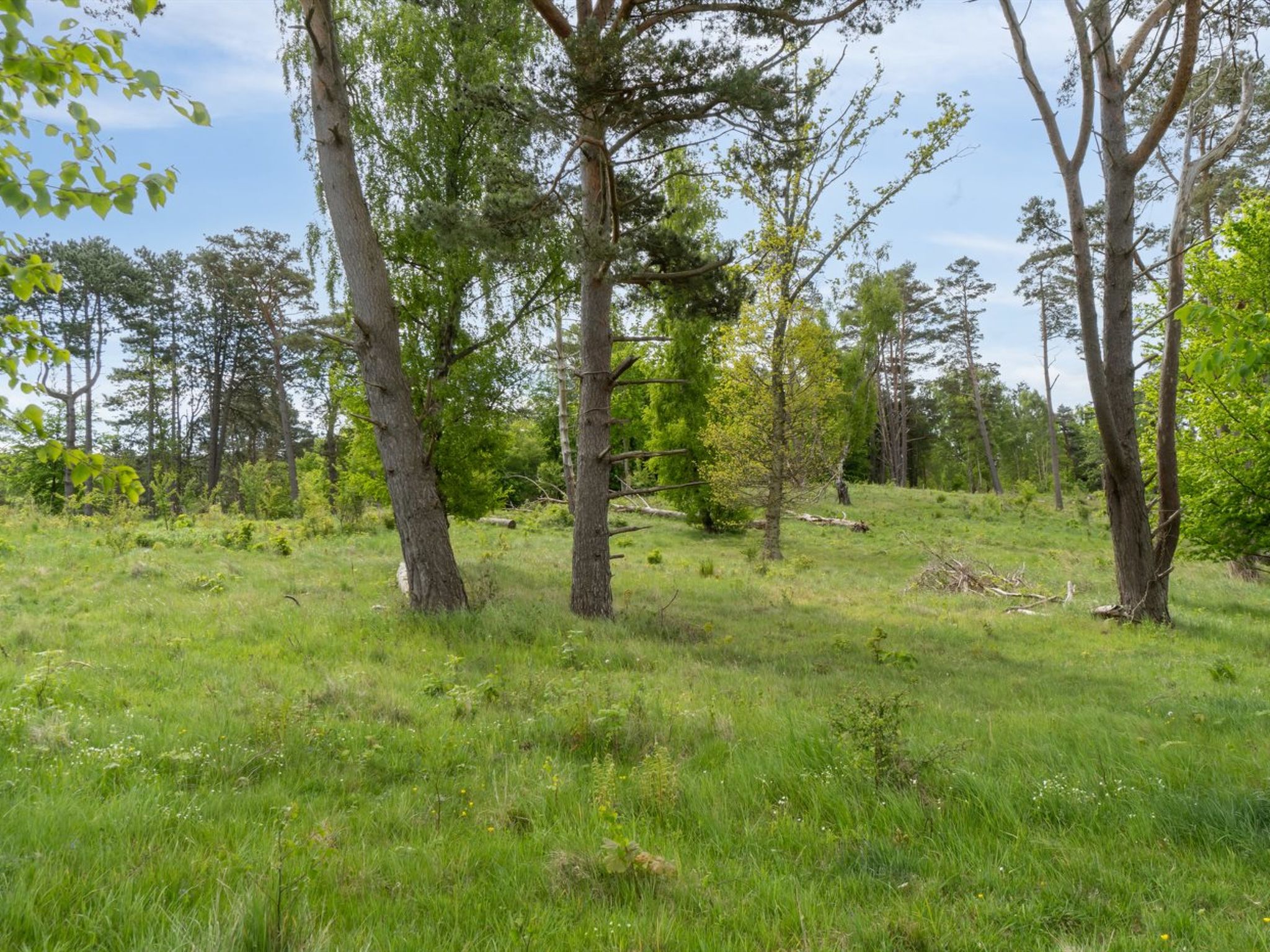 "Rami" - 2km from the sea - Buiten