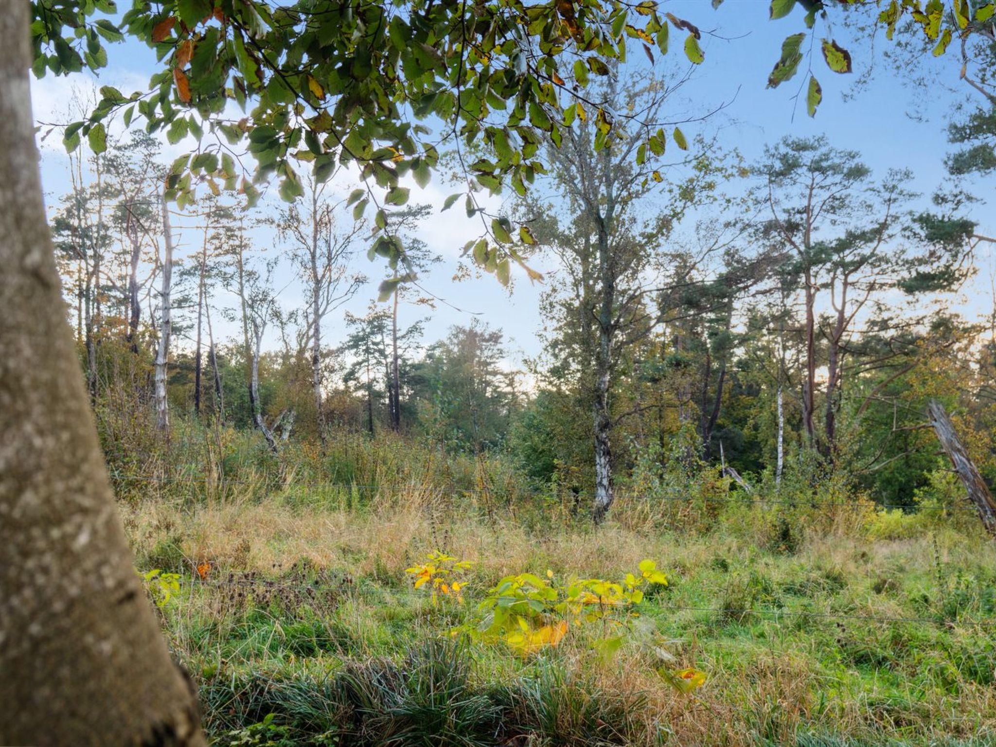 "Rami" - 2km from the sea - Buiten