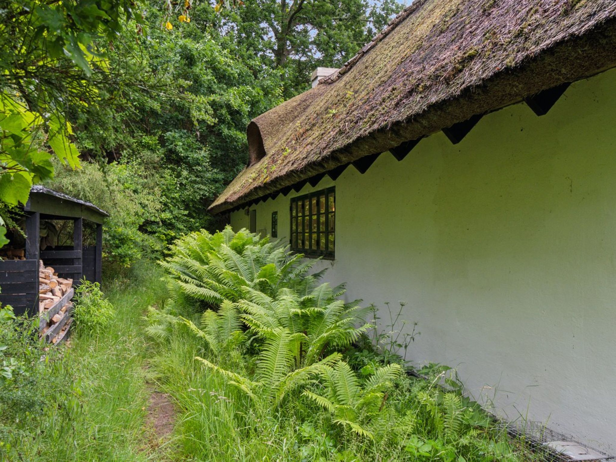 "Dorti" - 3.4km from the sea-Buiten
