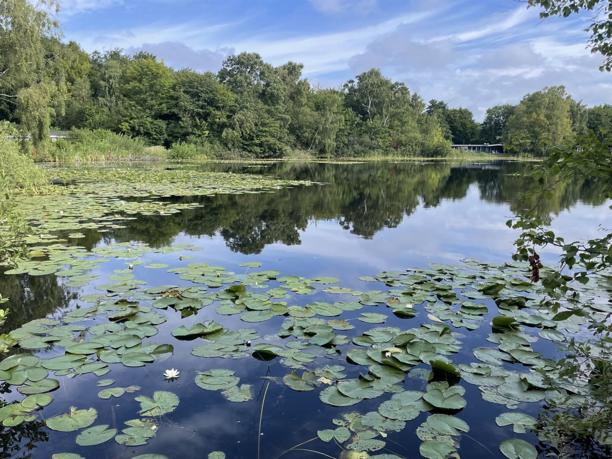 "Iolani" - 1.3km from the sea - Buiten