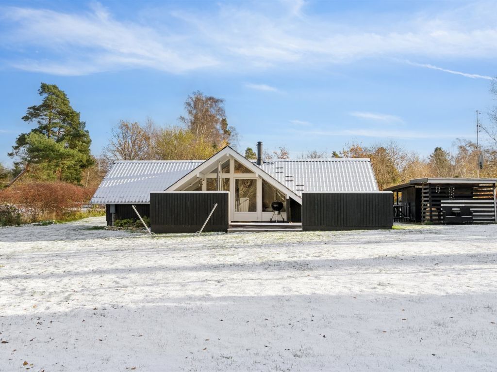 Vakantiehuis Janik in Denemarken