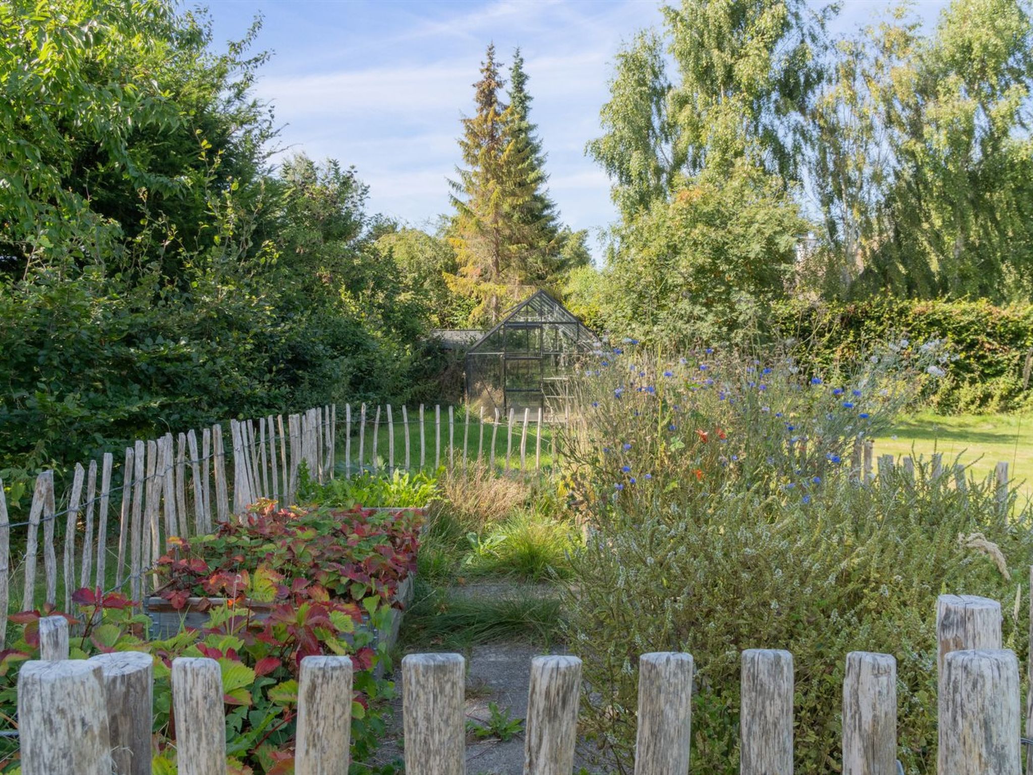 "Janik" - 1.3km from the sea-Dehors