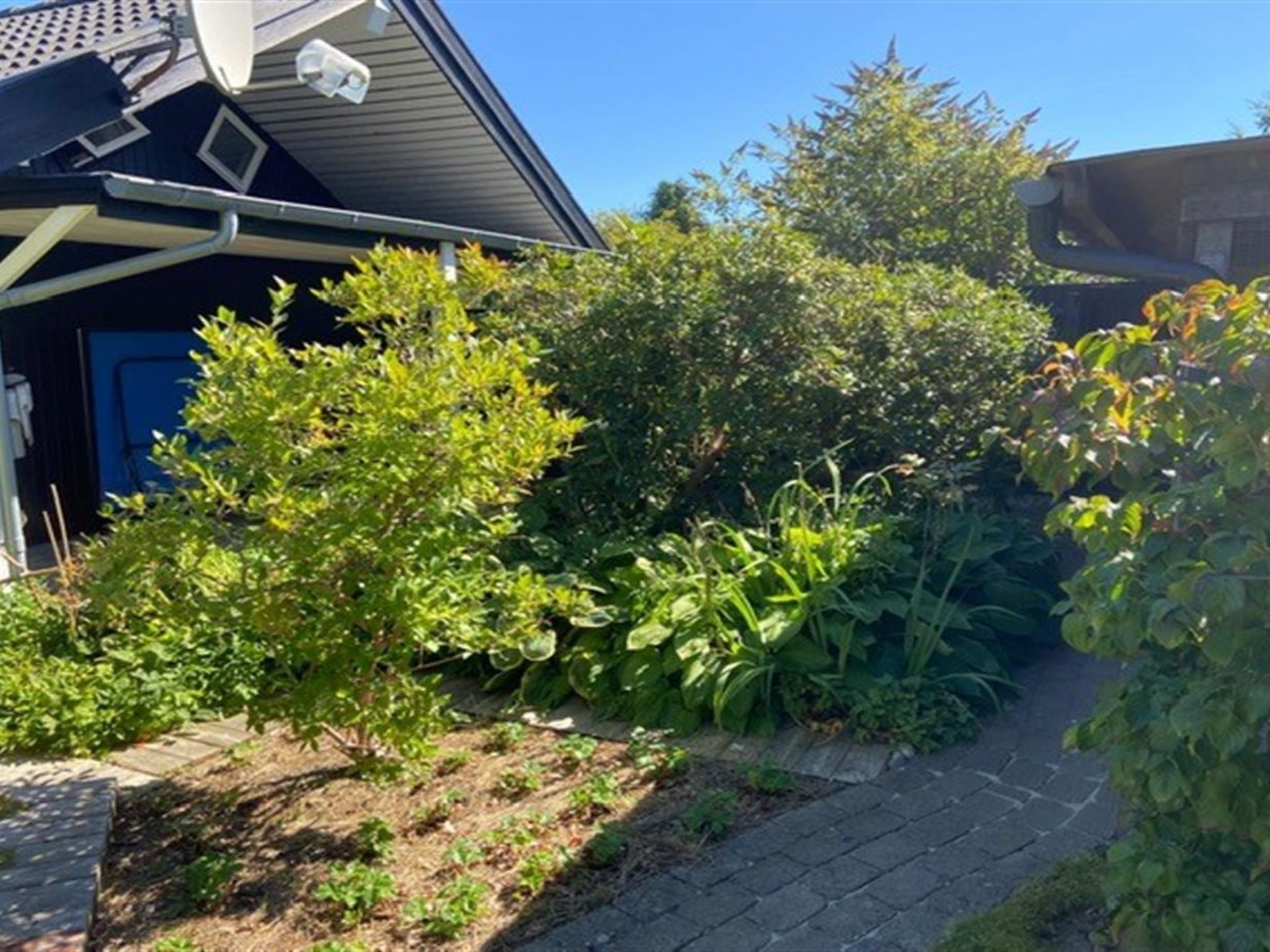 Photo of "Hughe" - 1.3km from the sea