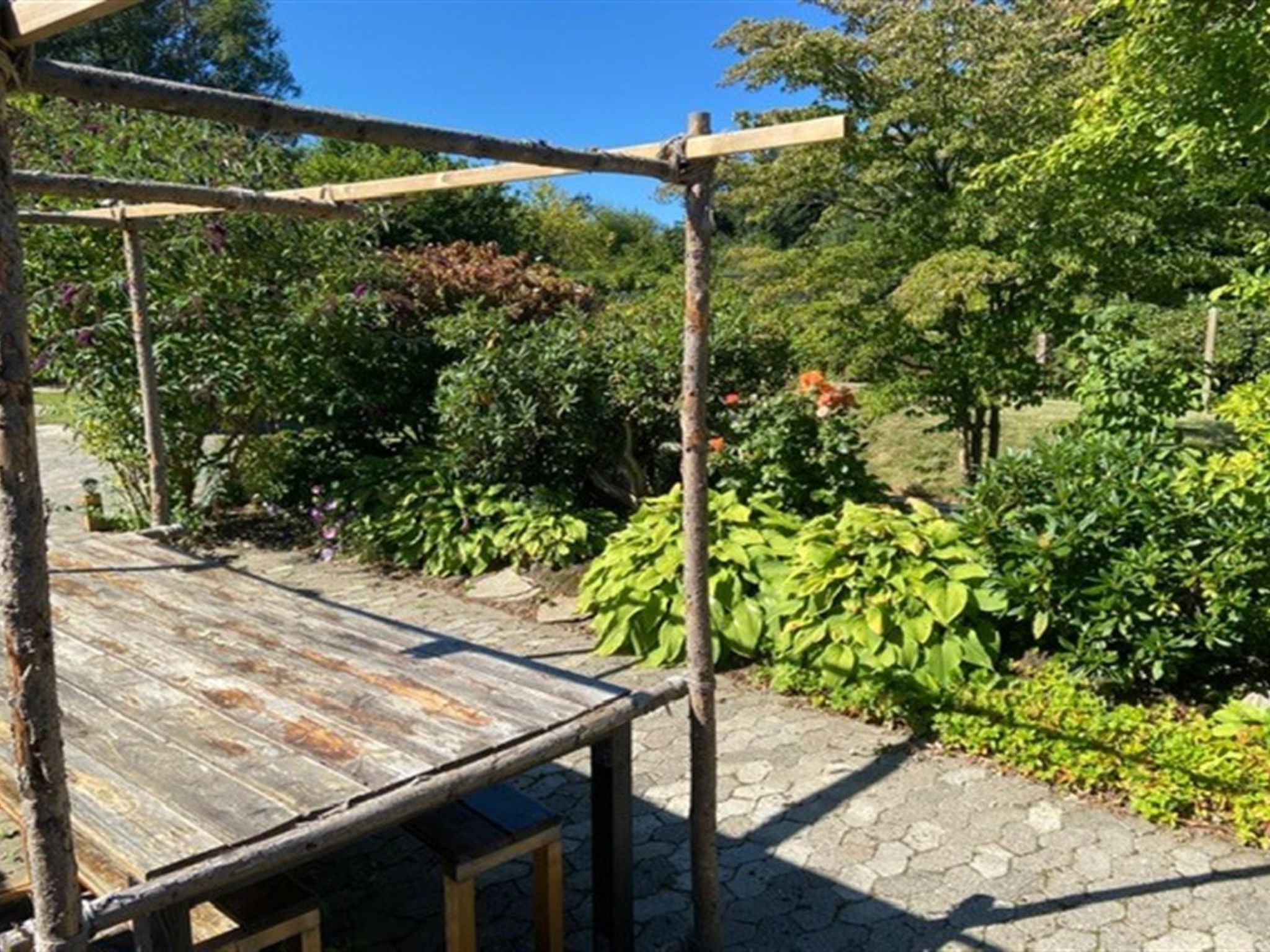 Photo of "Hughe" - 1.3km from the sea