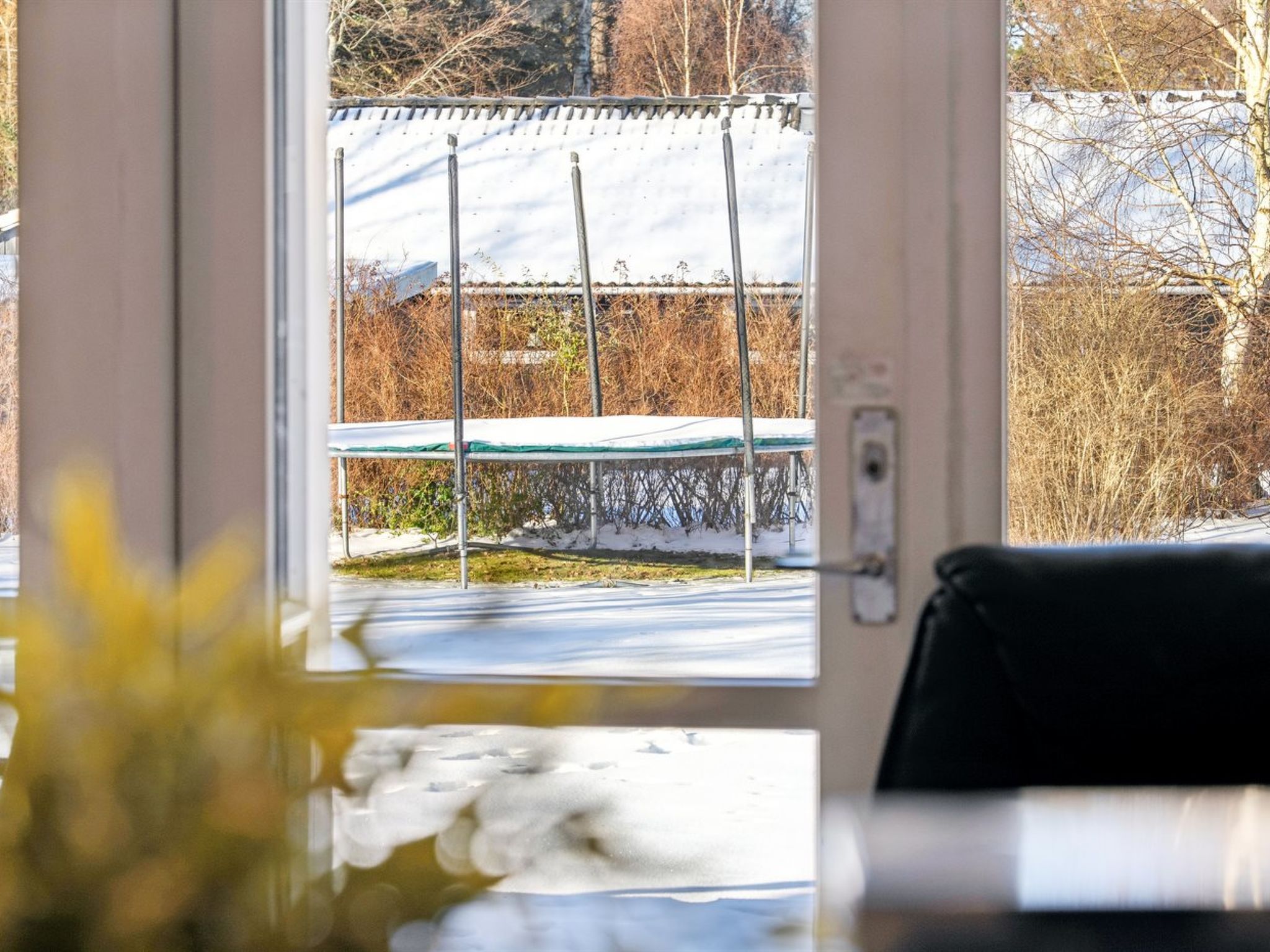 Photo of "Elenor" - 1.3km from the sea