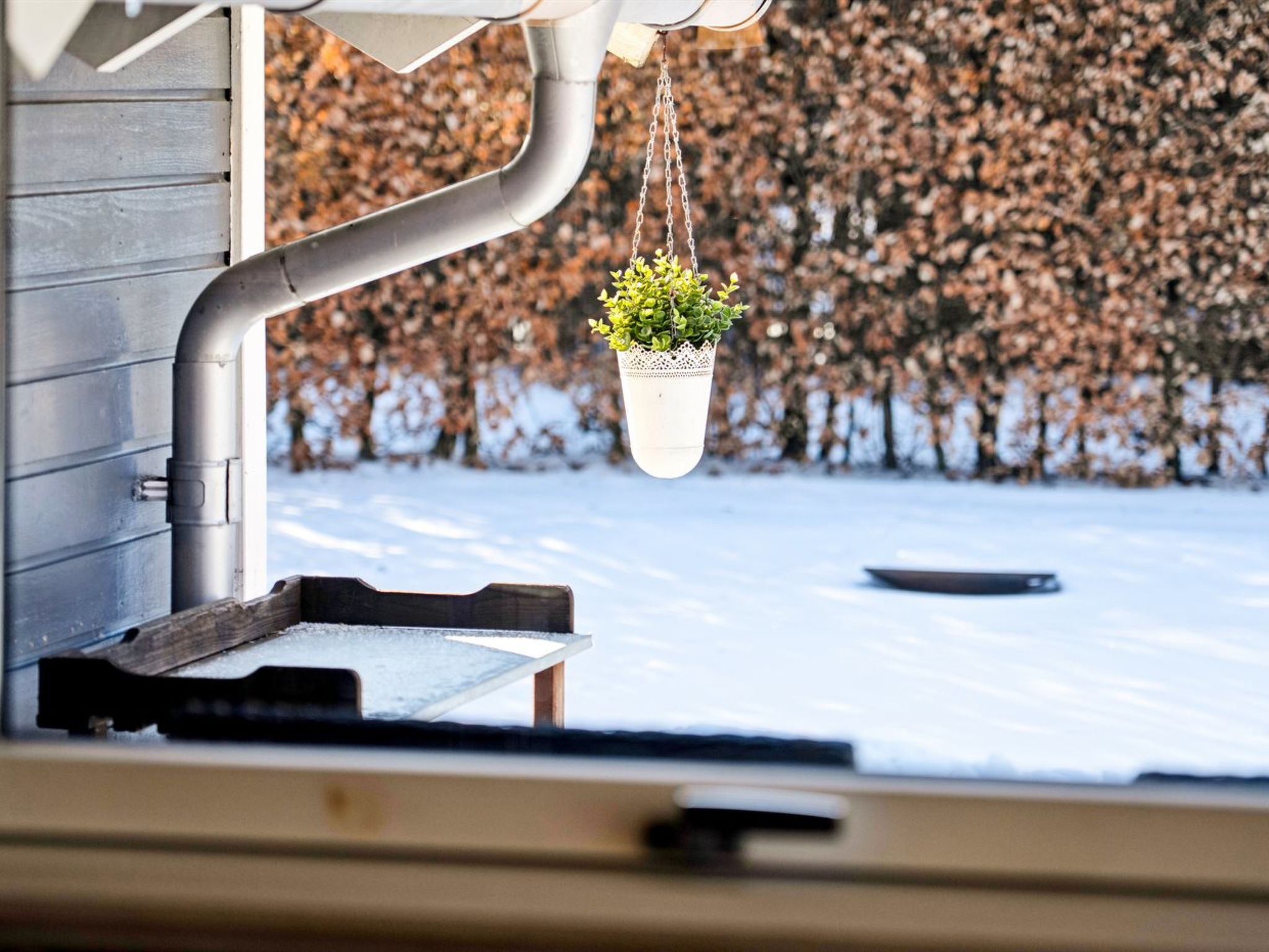 Photo of "Elenor" - 1.3km from the sea