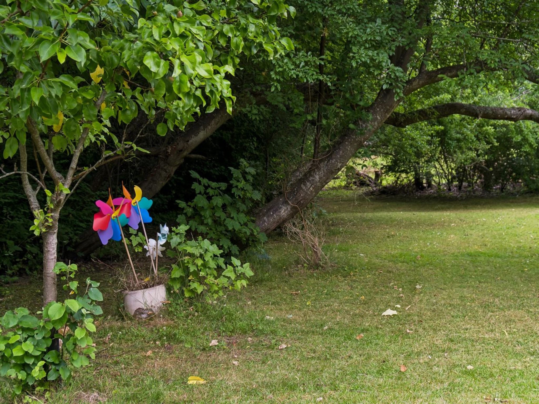 "Niela" - 700m from the sea - Dehors