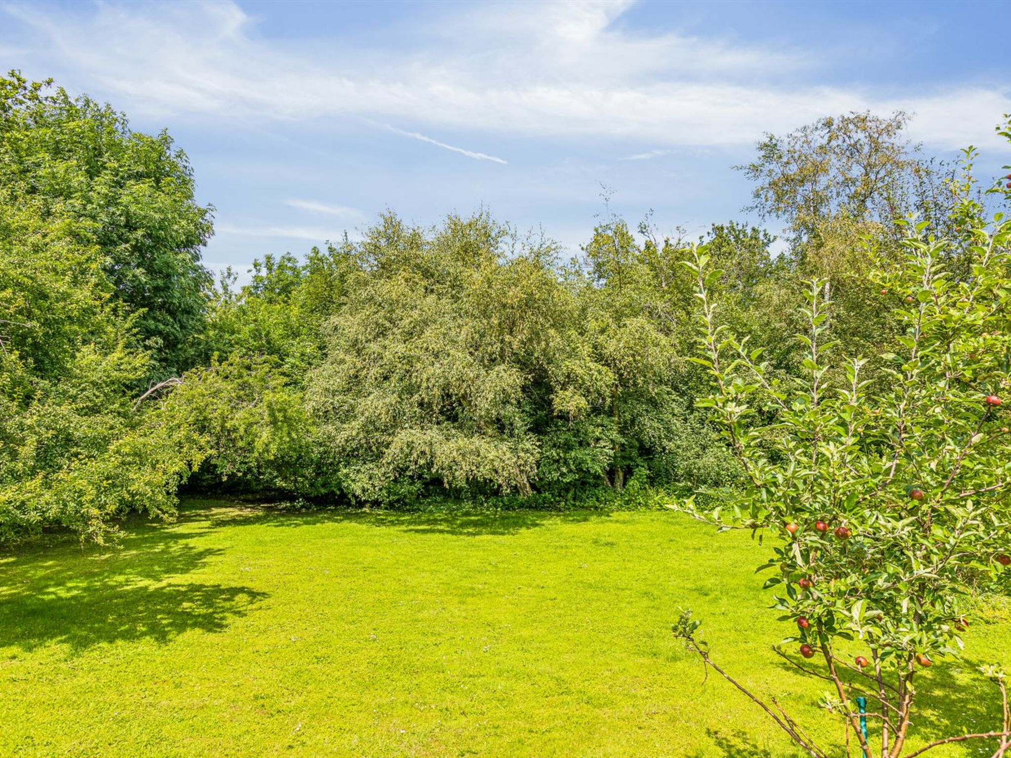 "Niela" - 700m from the sea - Dehors