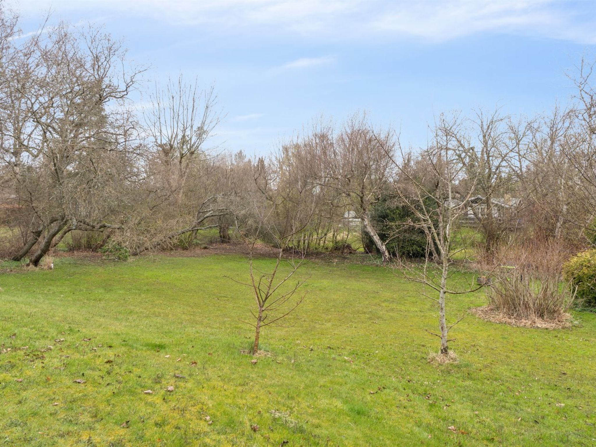 "Niela" - 700m from the sea - Dehors