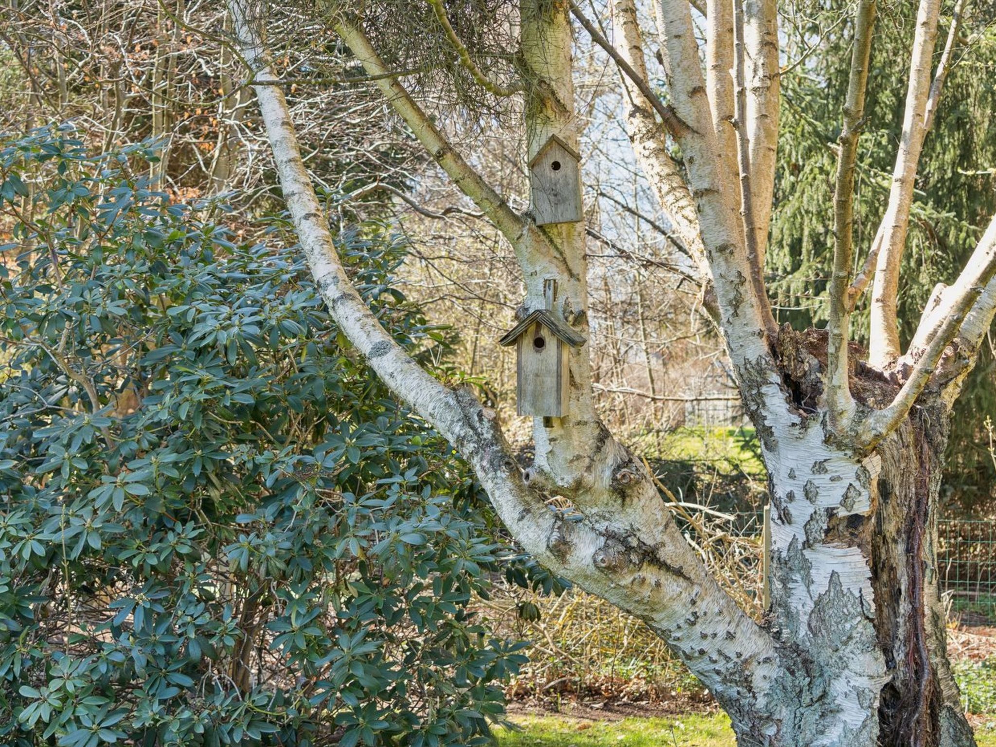"Emelita" - 1.1km from the sea - Buiten