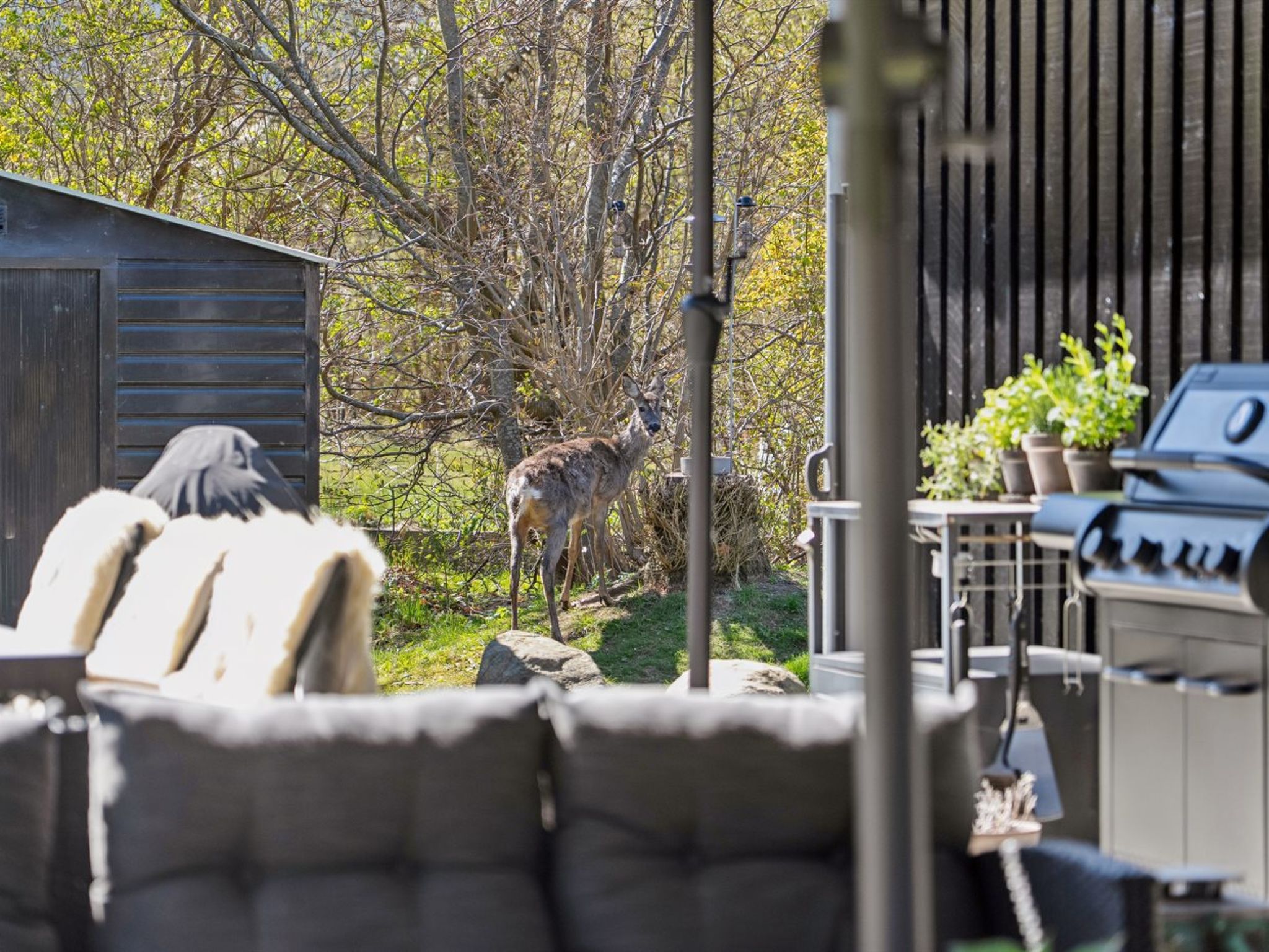 "Loreia" - 1.4km from the sea - Buiten