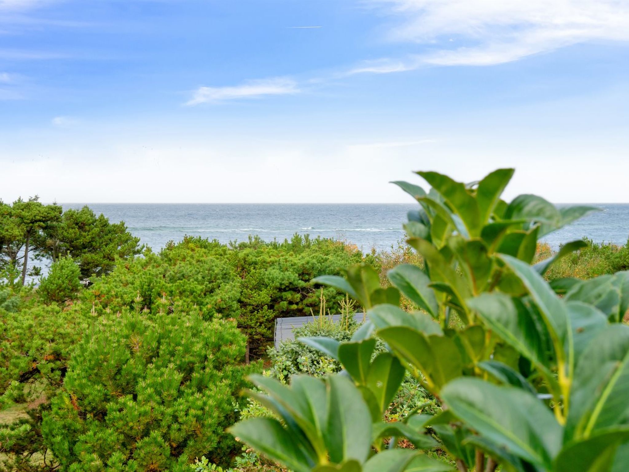 "Kaleva" - 100m from the sea - Buiten