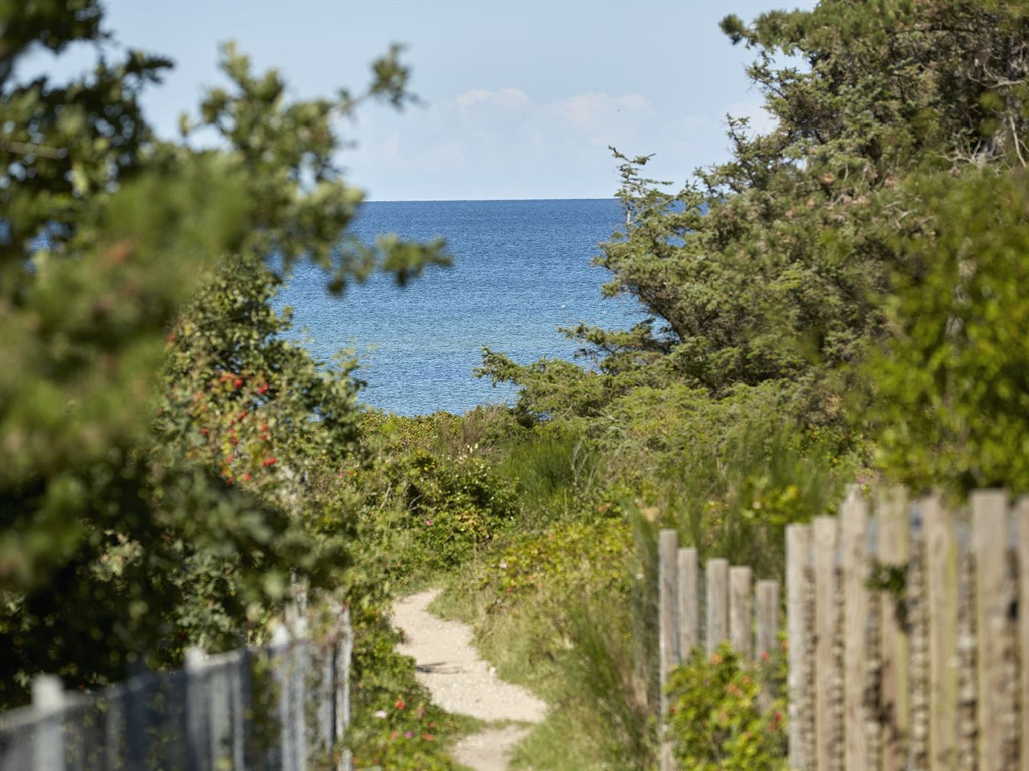 "Andy" - 150m from the sea - Outside