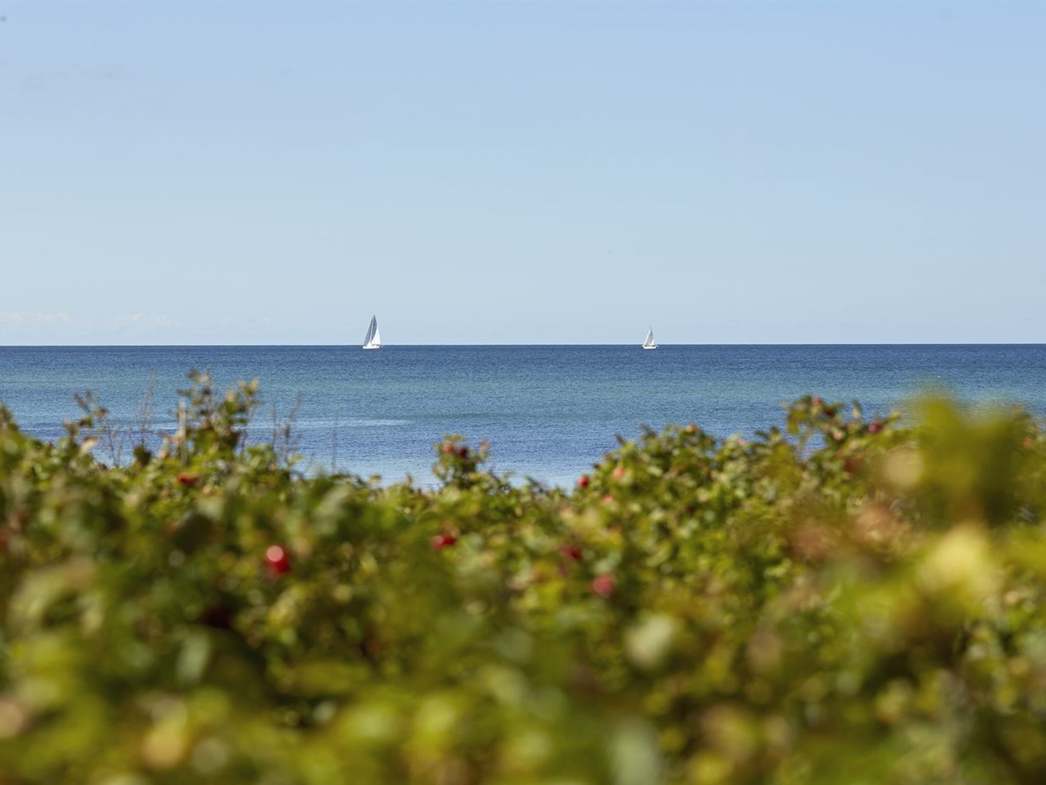 "Andy" - 150m from the sea - Outside