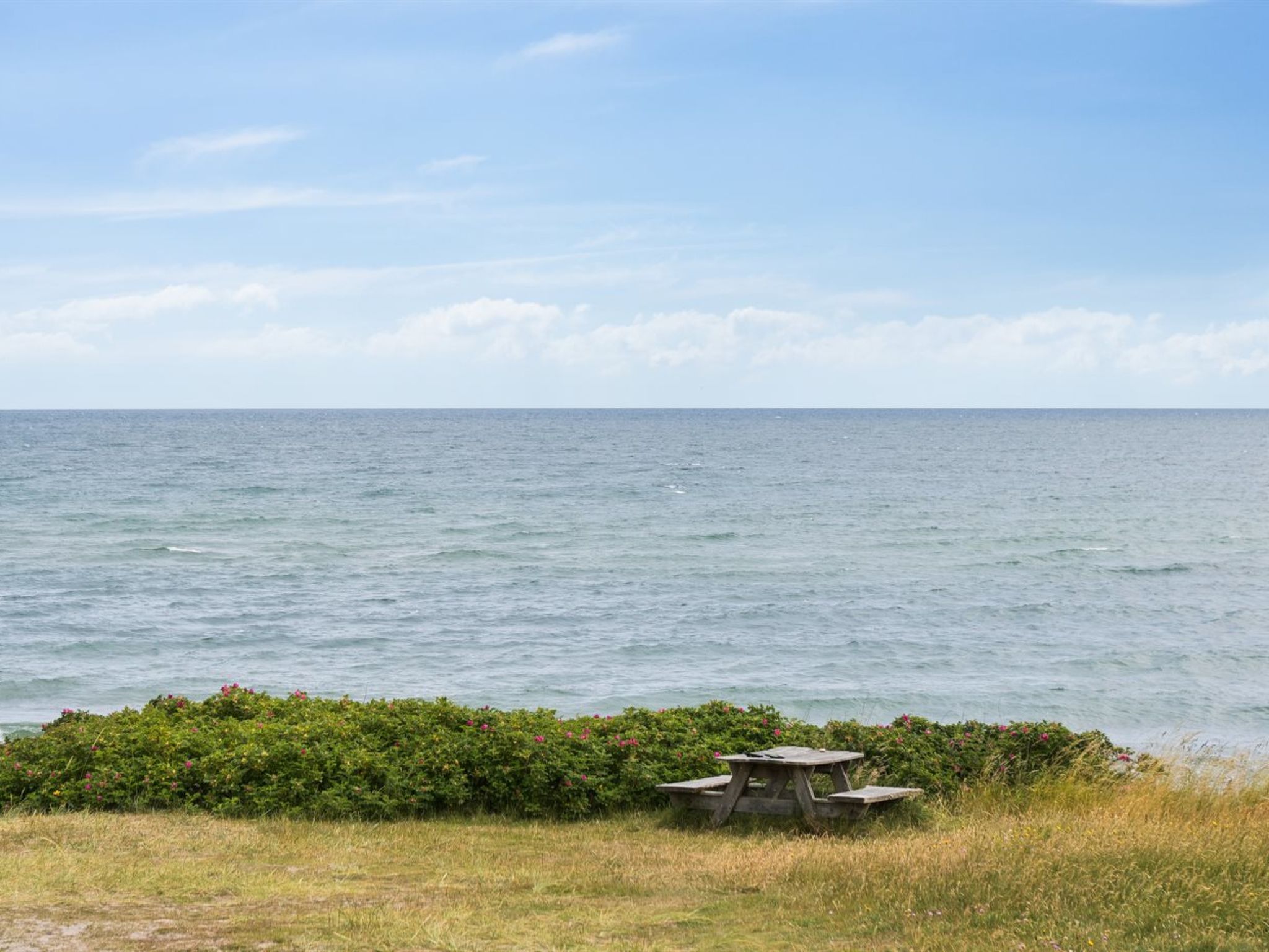 "Torbjörn" - 100m from the sea-Outside