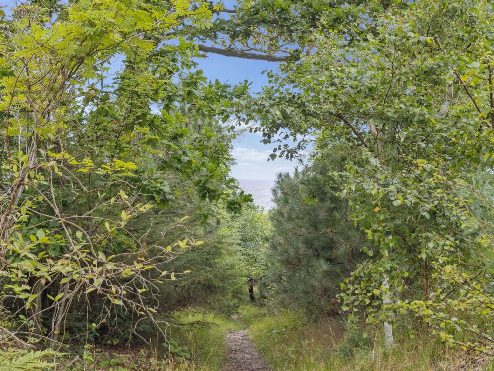 "Farman" - 200m from the sea-Buiten