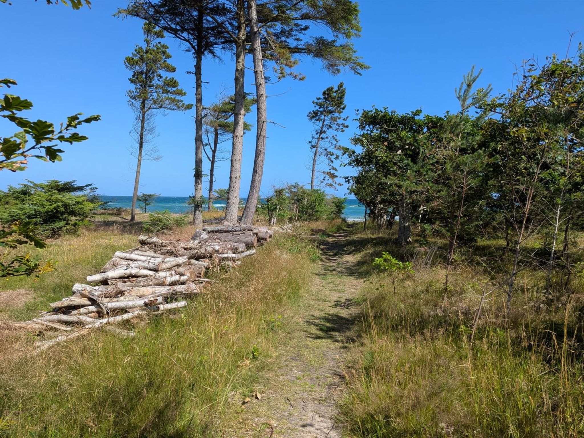 "Farman" - 200m from the sea-Dehors
