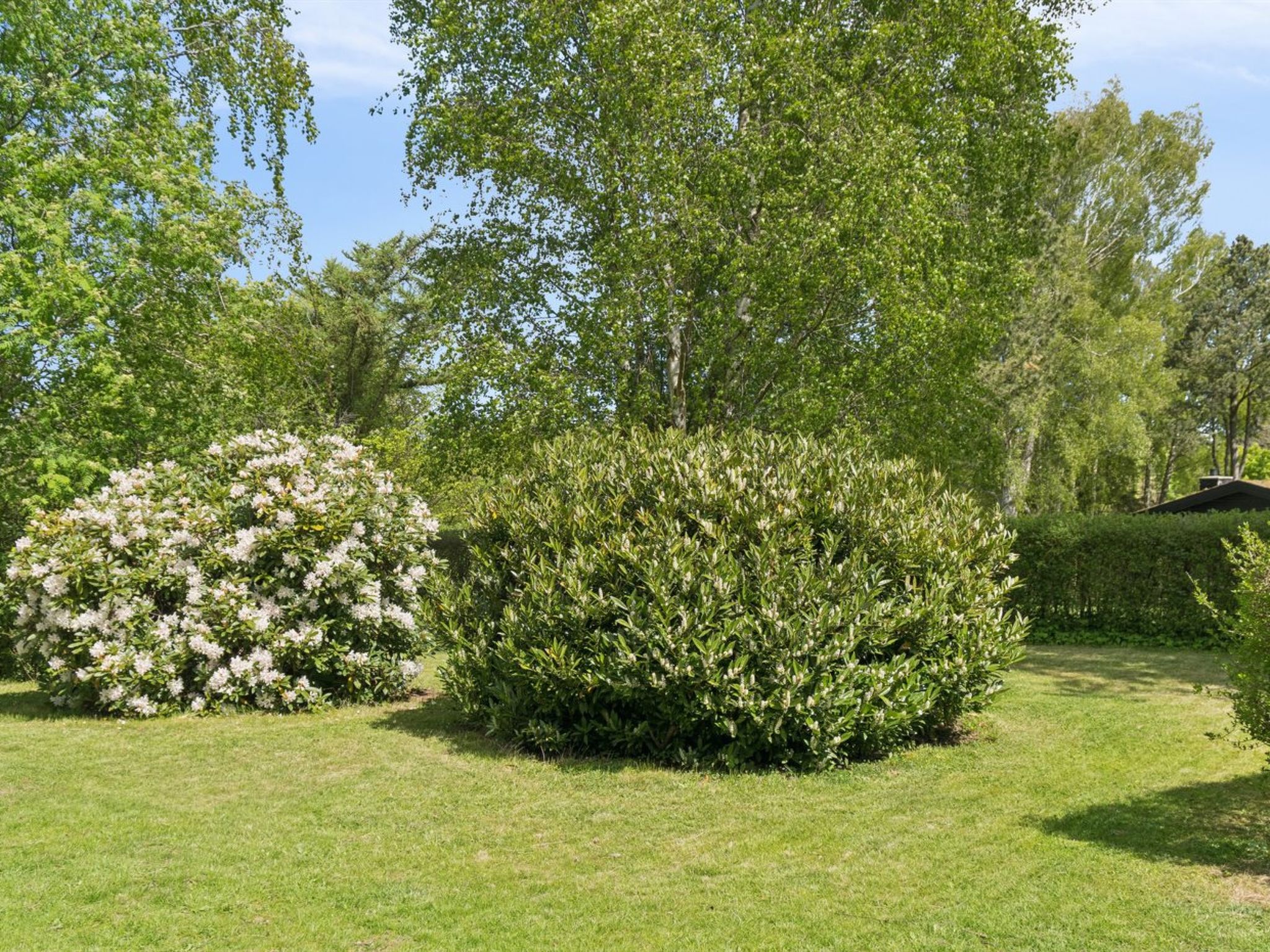 "Alika" - 700m from the sea - Buiten